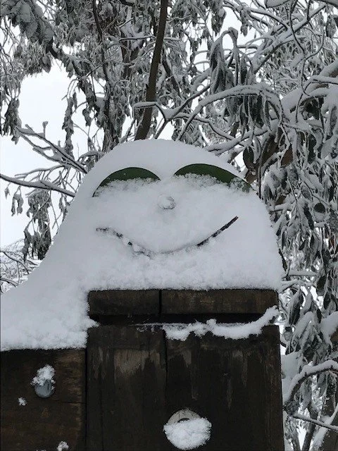 Snow man sort off.jpg