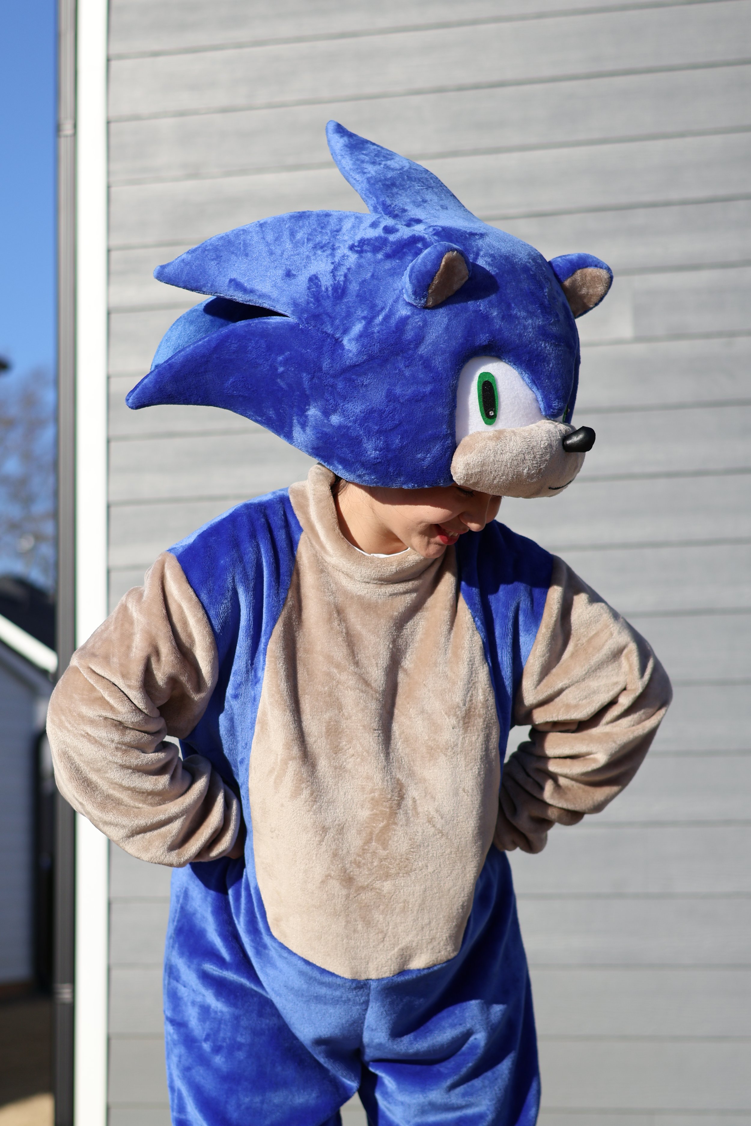 Person wearing a Sonic the Hedgehog costume, standing outdoors with hands on hips.