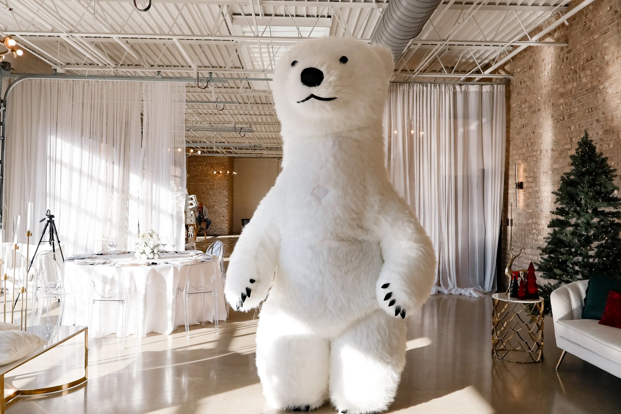Person in a big white polar bear costume standing in a decorated indoor event space with white curtains, a Christmas tree, and elegant furniture.