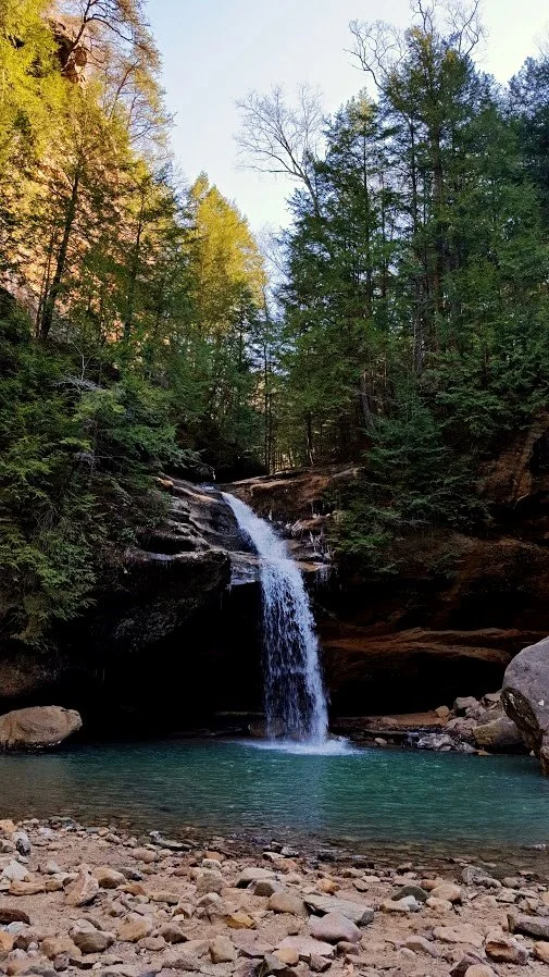 20170305_104415 1.jpg