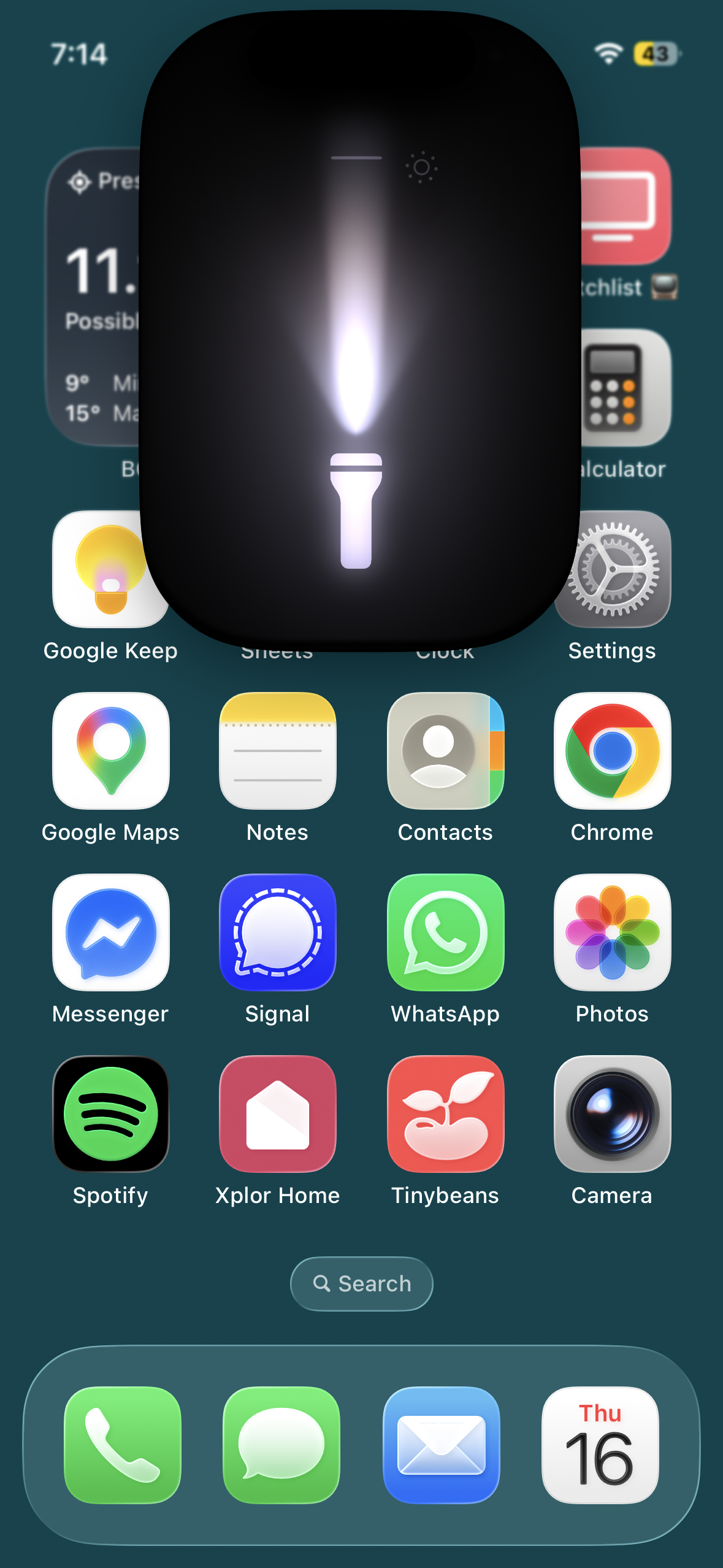 Siri torch