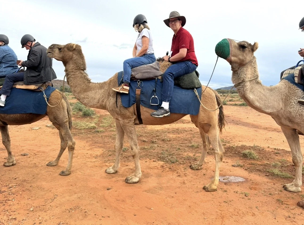 Afternoon camel ride with Pyndan Camel Tracks Alice Springs Australia outback red desert