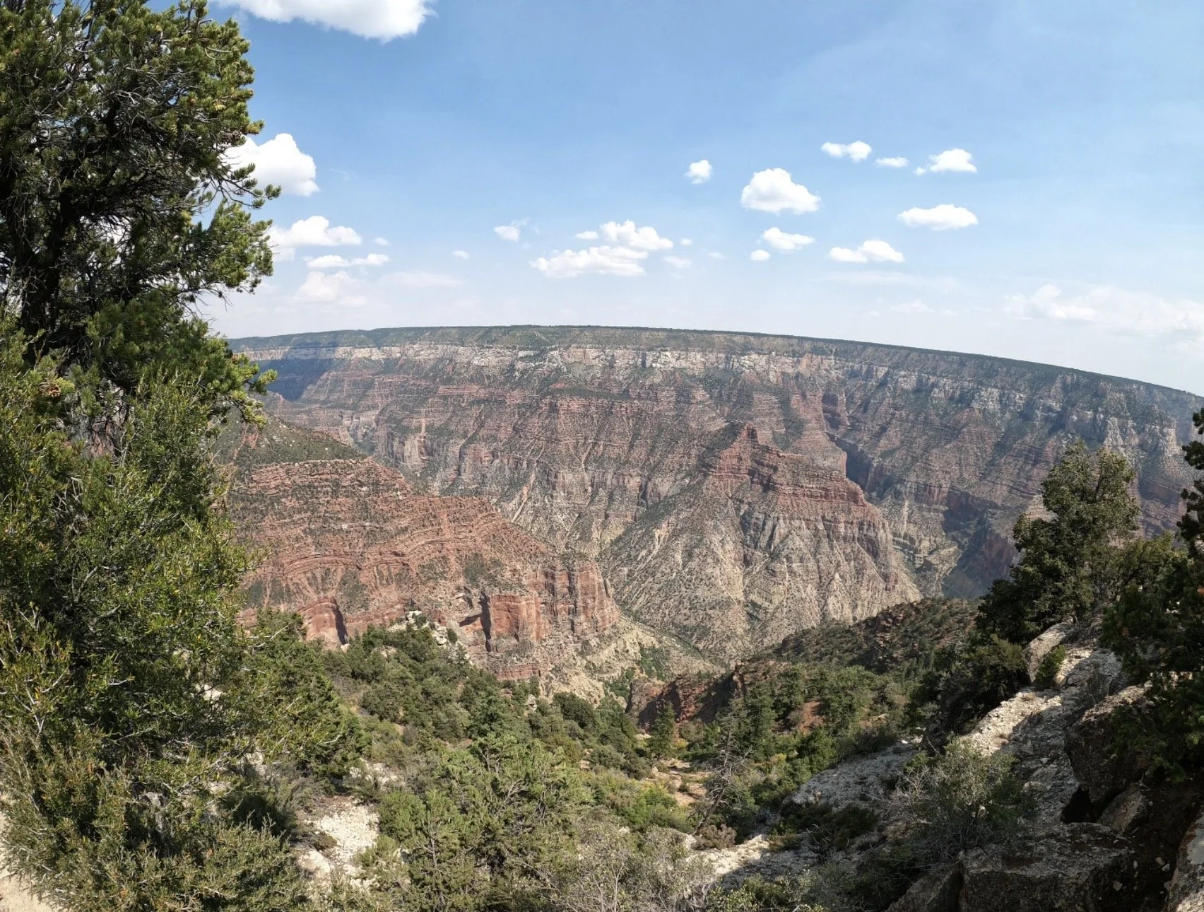 The Grand Canyon