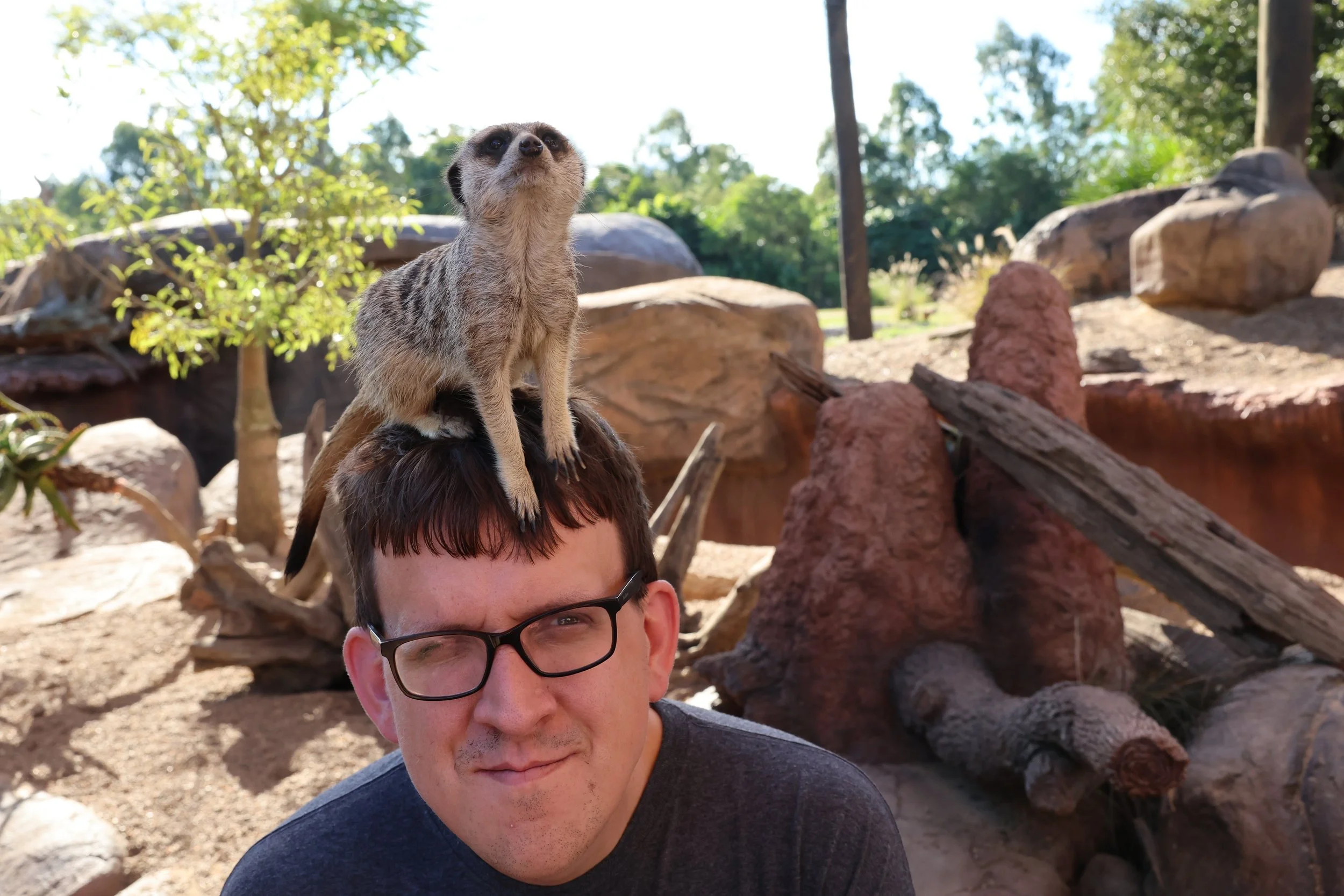 Nicholas Petersen with a Meerkat sitting on his head at Australia Zoo