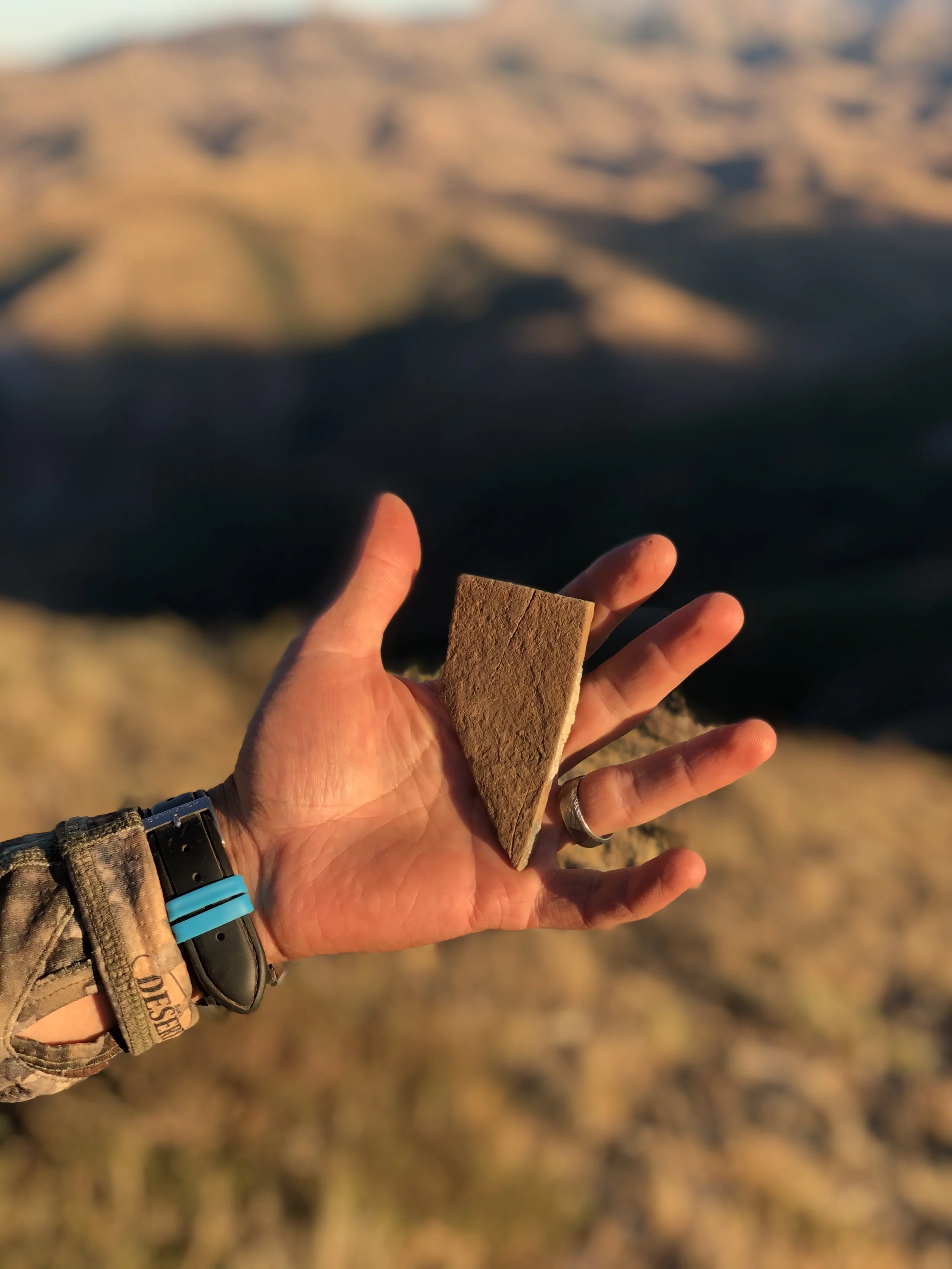A person’s hand holding a triangular-shaped rock with a desert landscape in the background