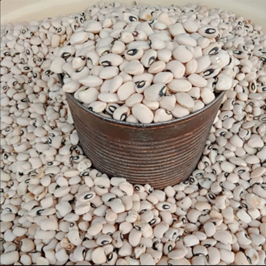 Nigeria White Beans