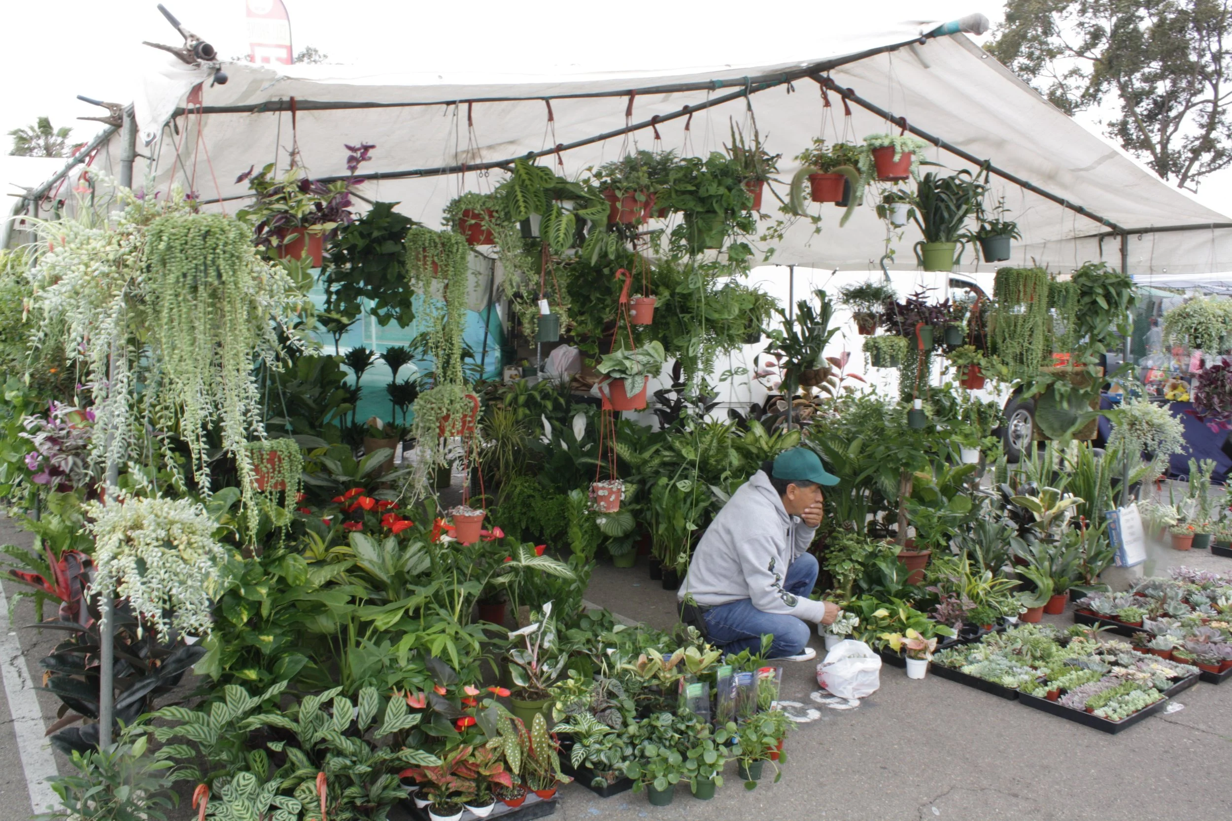 A Day at the Marketplace: Musings on the Accumulation of Stuff