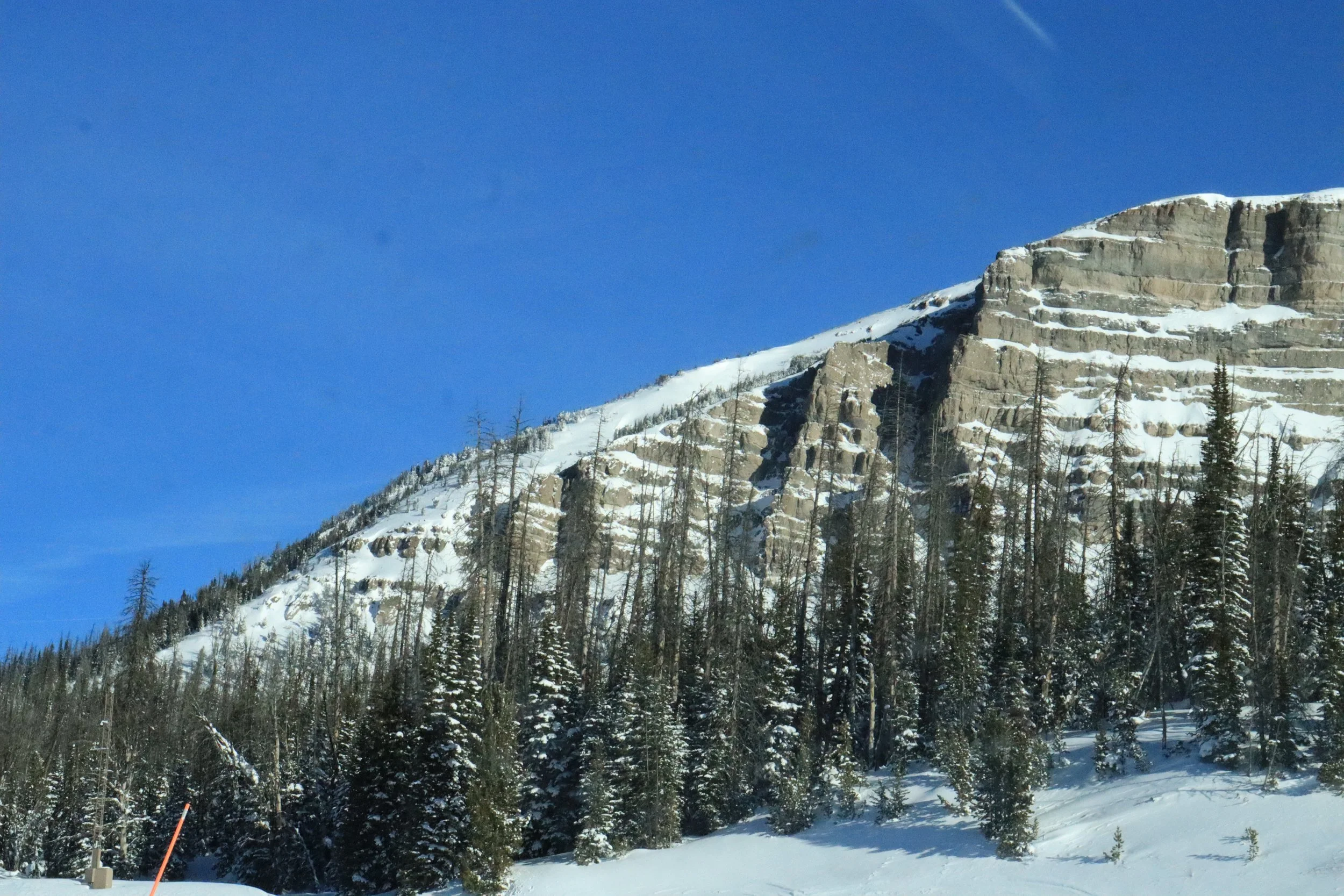Snow-covered mountain with layered rock formations and a dense forest of pine trees at the base, under a clear blue sky.