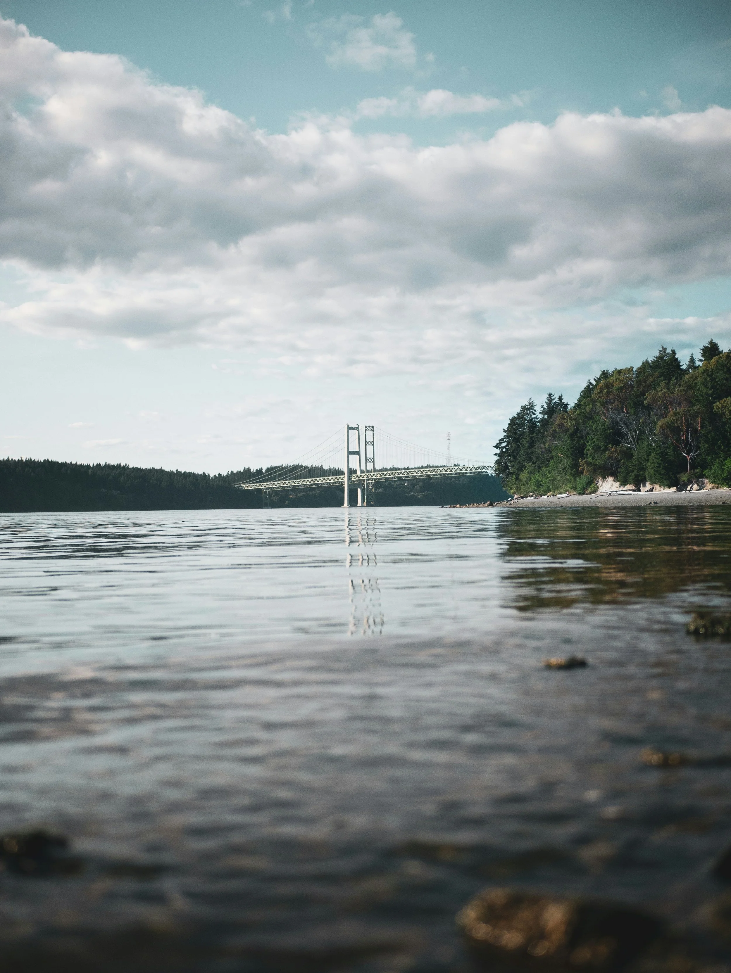 Photo of the Tacoma Narrows Bridge viewed from water level.