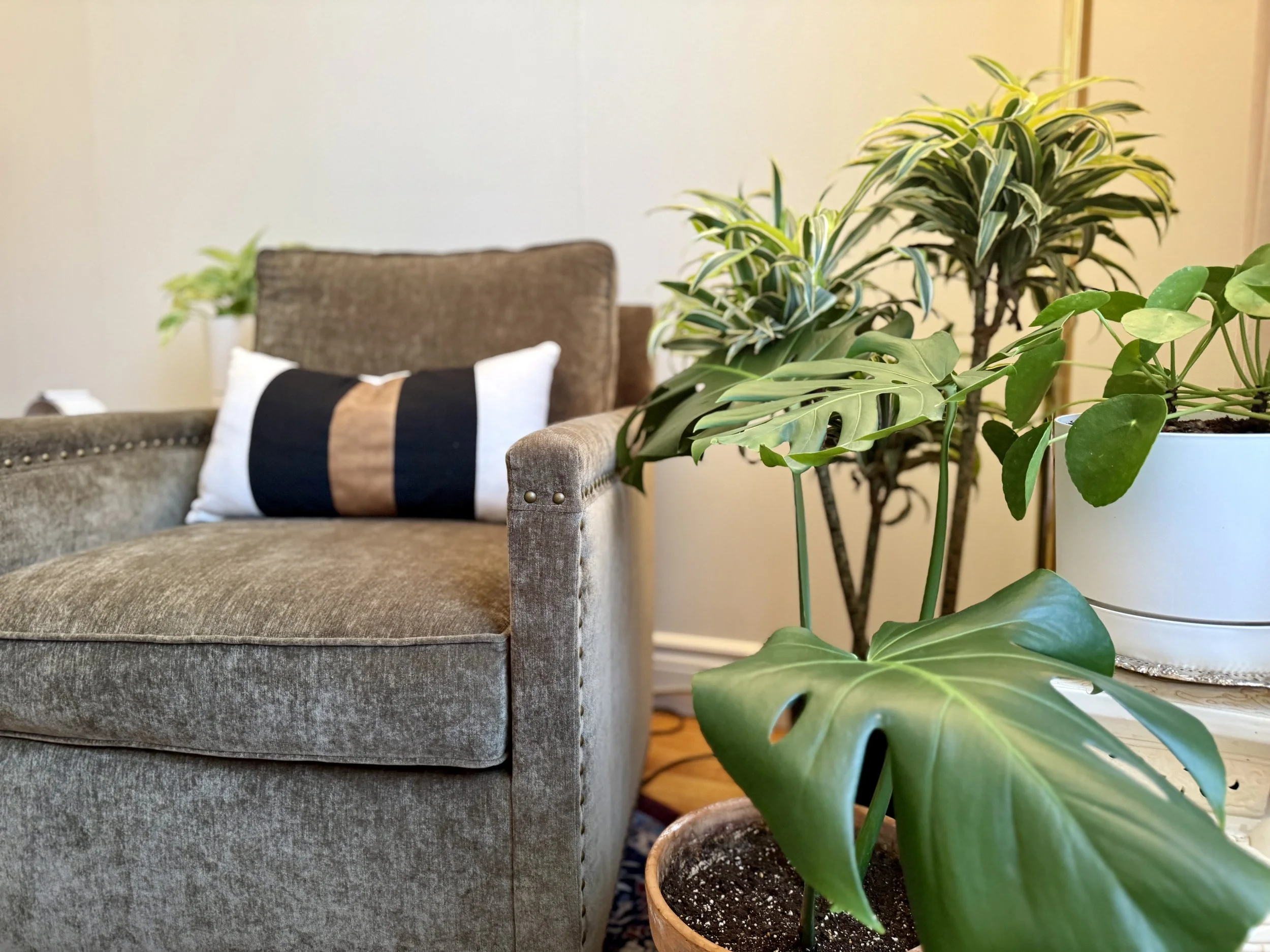 Living room with a beige velvet armchair, a decorative pillow, and several green potted plants.