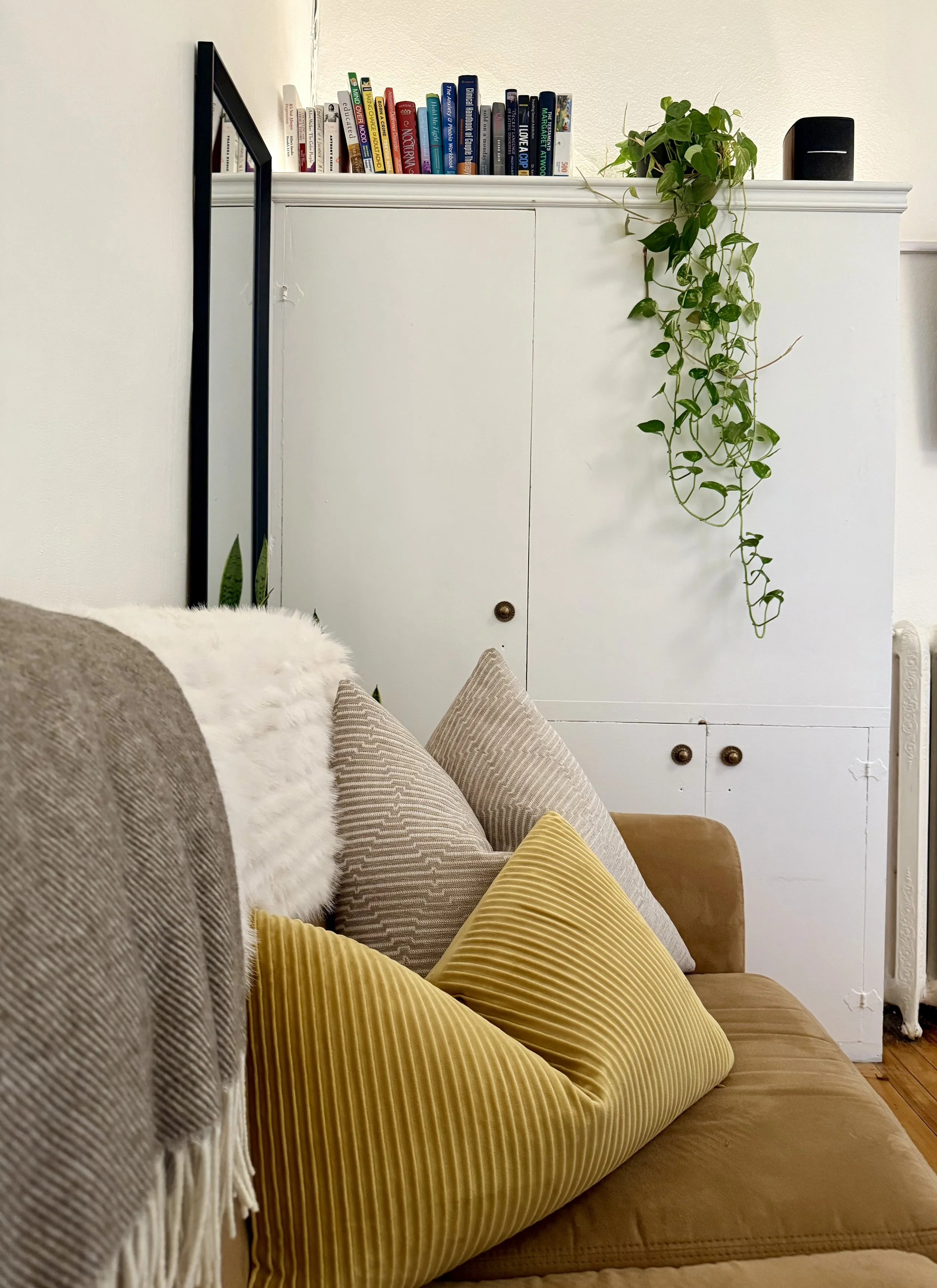 Living room with a brown couch decorated with yellow, gray, and white pillows. A white cabinet with a sliding door is in the background, topped with a row of books, a hanging green plant, and a black speaker. Part of a full-length mirror and a radiator are also visible.