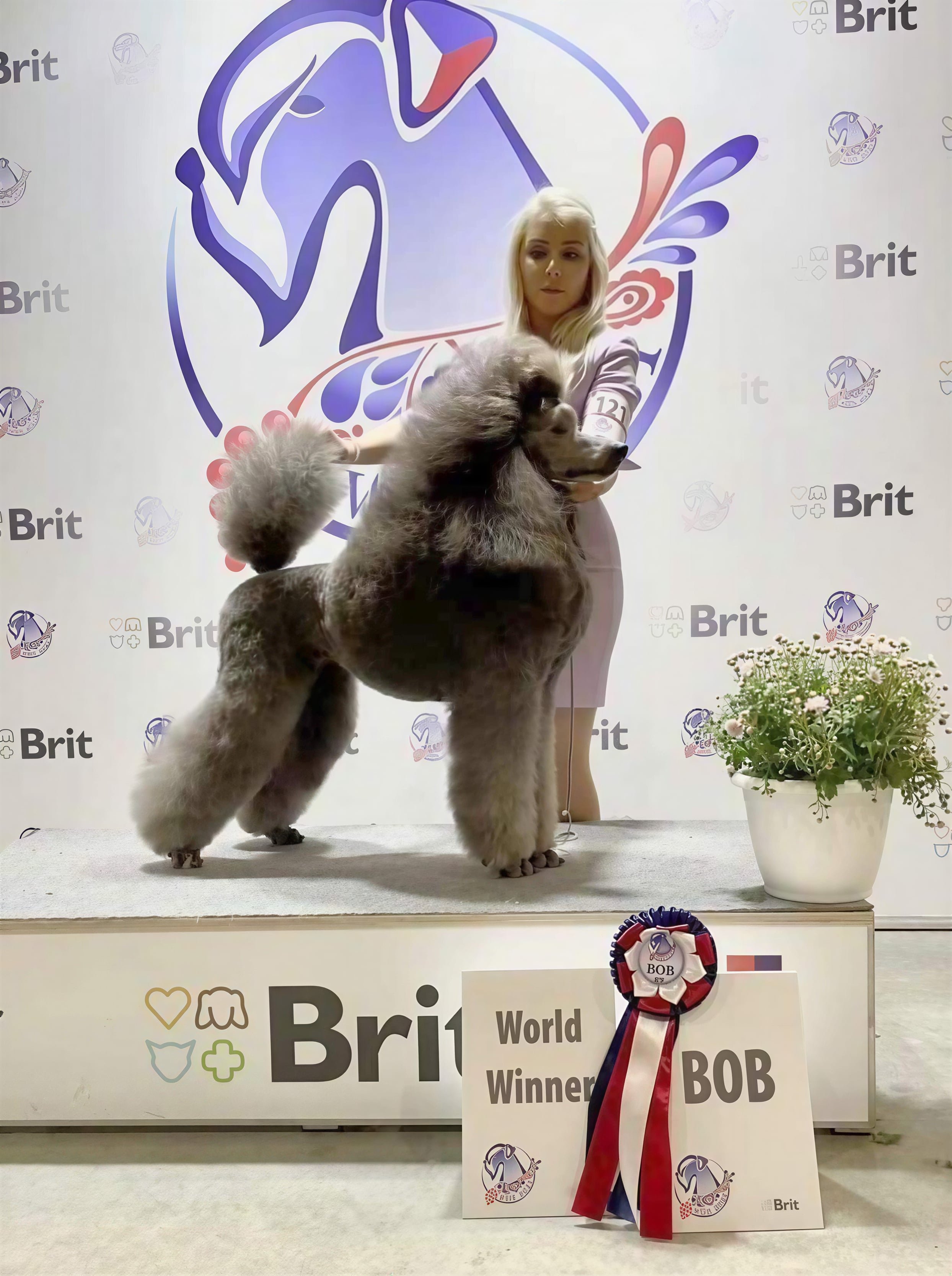 A woman with platinum blonde hair holding a large, well-groomed poodle on a table at a dog show, with a ribbon and a sign reading 'World Winner BOB' in front. The backdrop features the Brit logo and a stylized horse head graphic, with a white flowerp