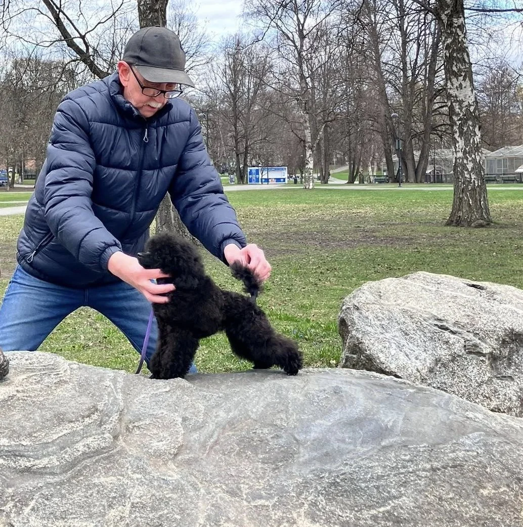 A man in a blue puffer jacket, glasses, and a baseball cap appears to be training a black puppy on a leash in an outdoor park with leafless trees and some structures in the background.