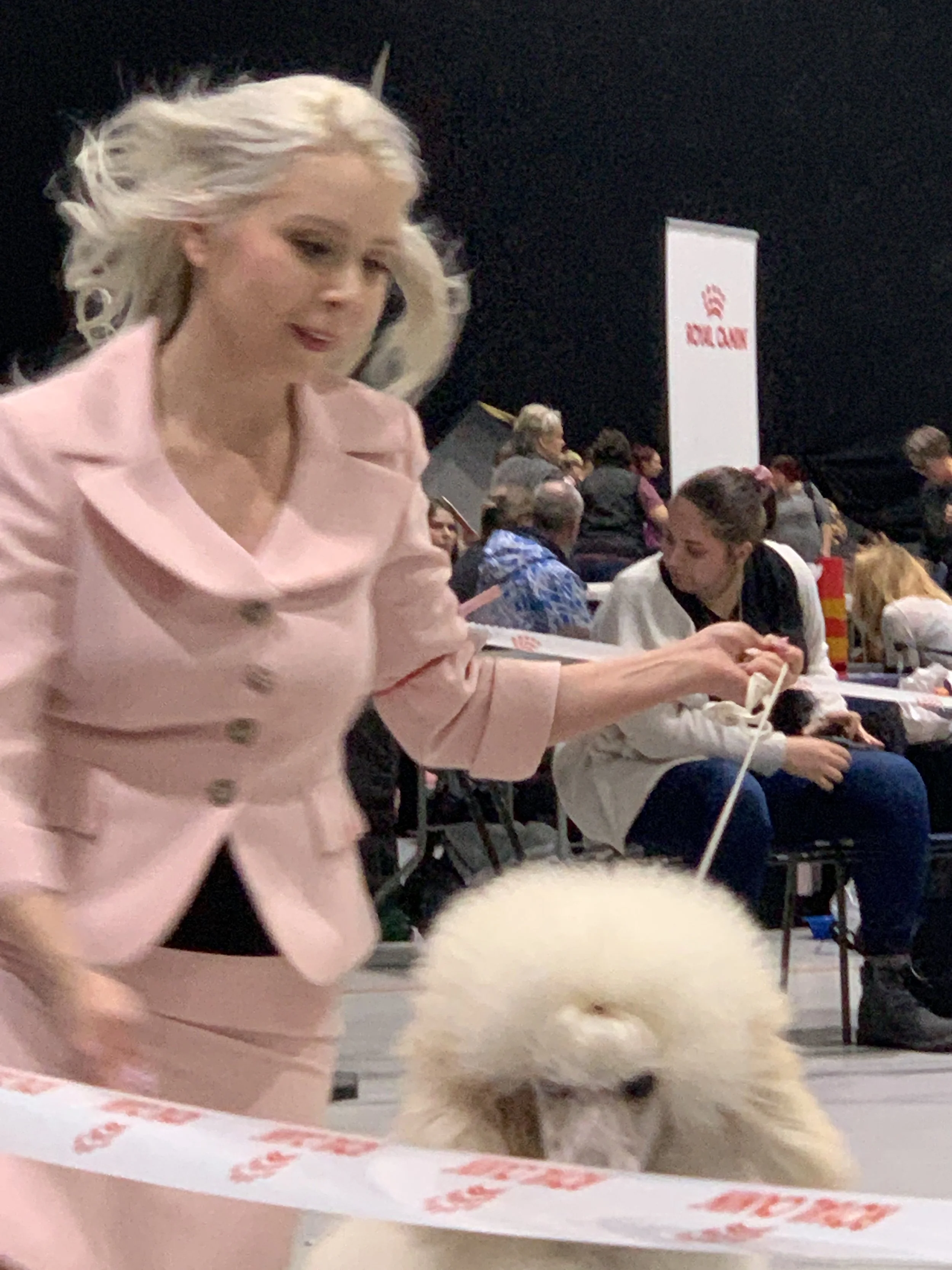 A woman with platinum blonde hair wearing a pink blazer and skirt, walking a fluffy white dog at a dog show. In the background, there are people sitting and standing, and a white banner with red text.