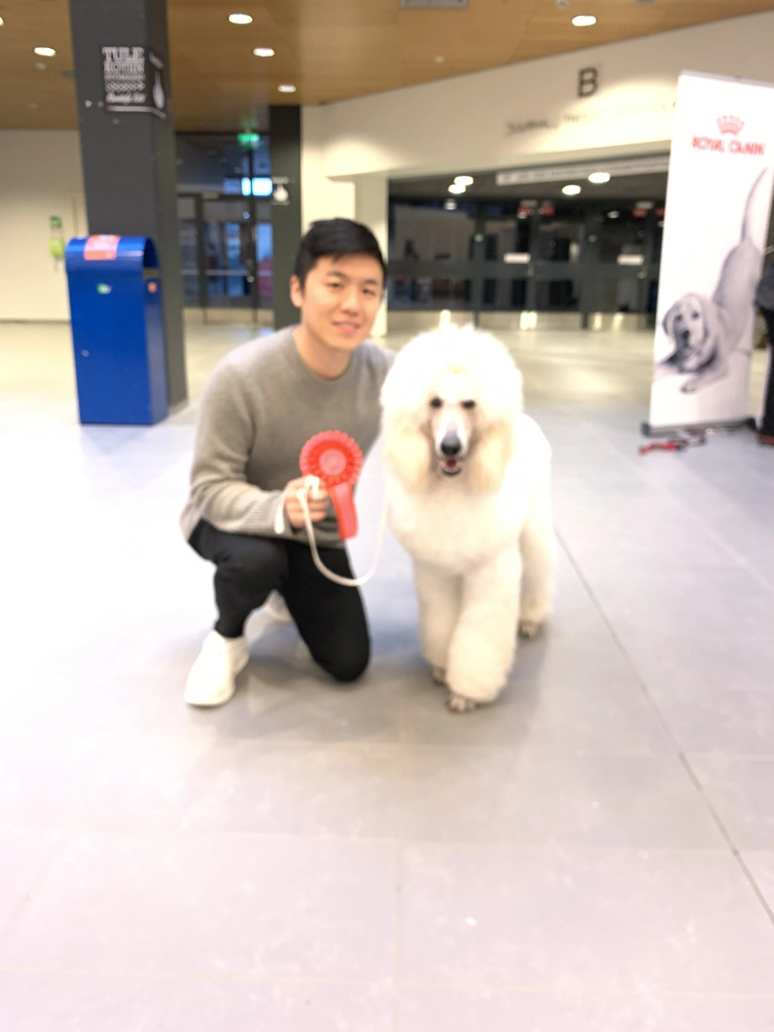 A young man kneeling next to a large white dog, holding a red ribbon, inside a modern indoor space.