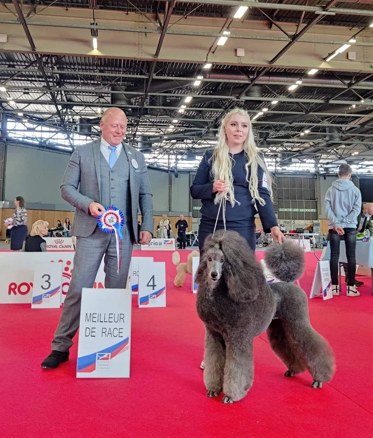 A dog show with a woman and a judge, the woman is holding a poodle that has a well-groomed coat. The judge is holding a rosette ribbon, and there are signs indicating this is a race winner, in an indoor venue with other people, dogs, and competition 