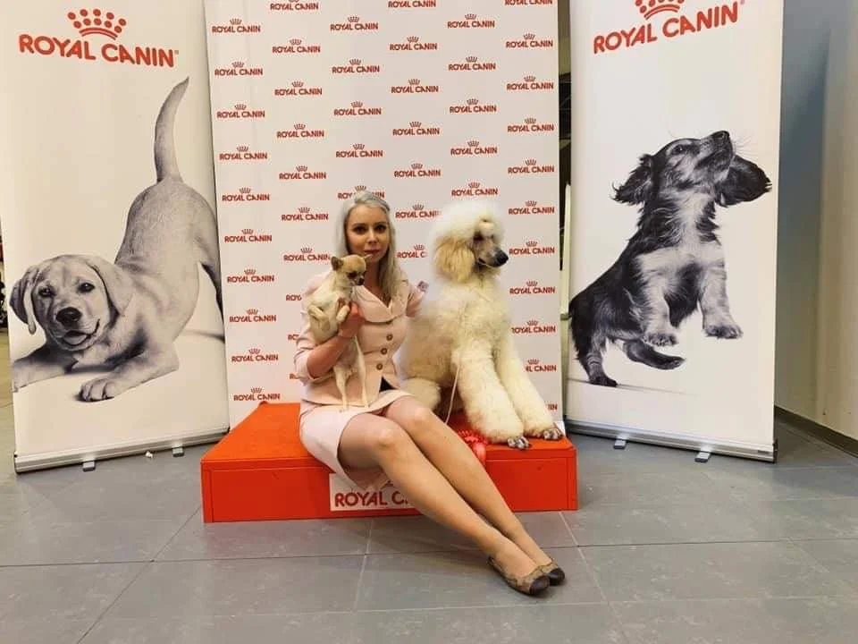 A woman is sitting on an orange platform, holding a small dog in her arms, with a large poodle sitting beside her. They are in front of a backdrop with the 'Royal Canin' logo, flanked by two banners featuring images of a puppy and a dog.