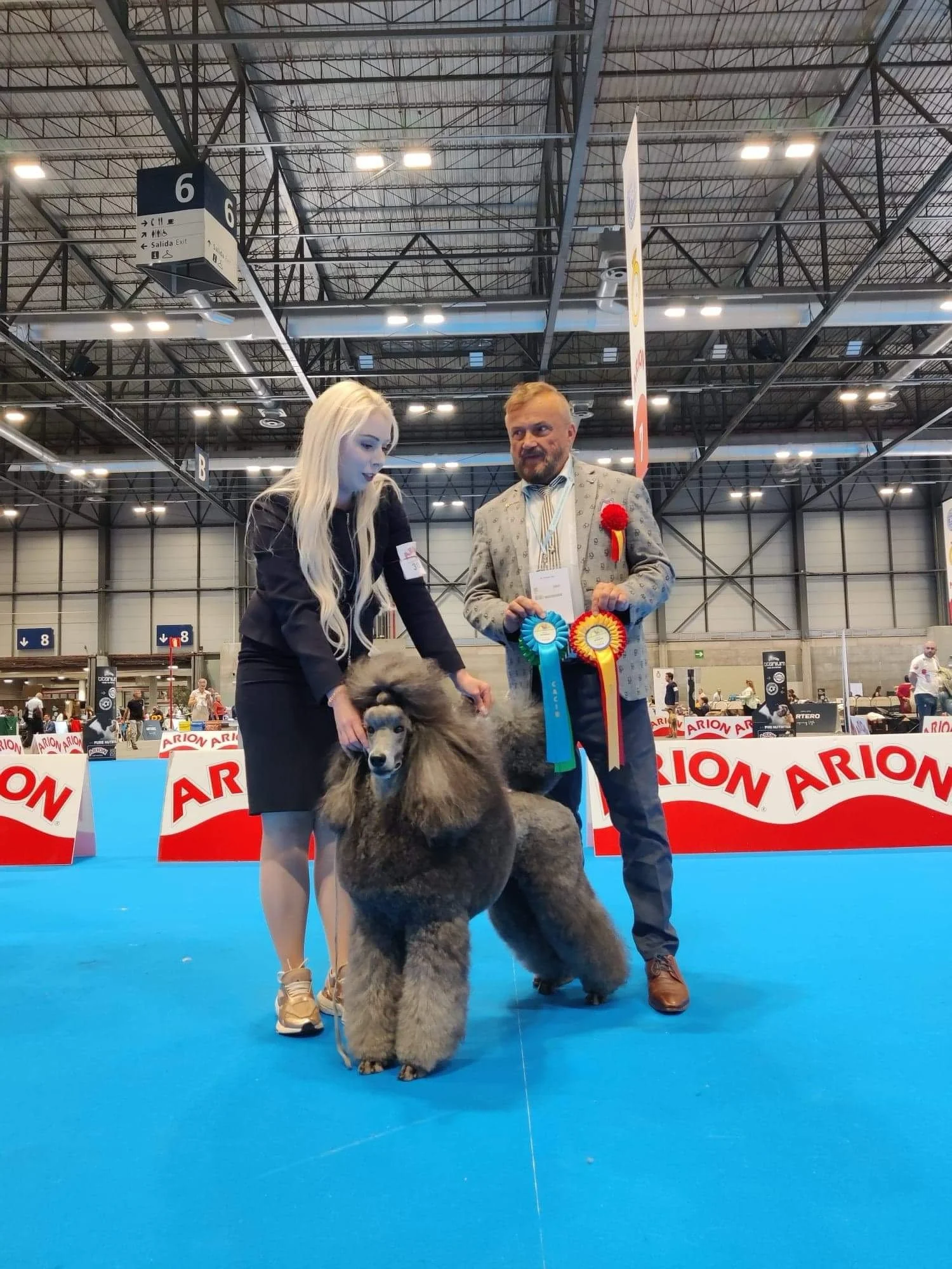 A dog show with a woman, a dog, and a man. The woman is handling a large gray and black dog, and the man is holding awards. The scene takes place in a spacious indoor arena with banners and signs.