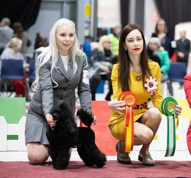 Two women at a dog show, one kneeling with a black poodle and the other holding ribbons and awards, with spectators in the background.