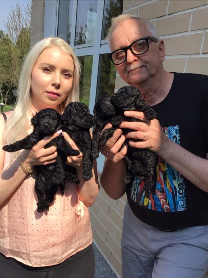 A young woman and an older man each holding three black puppies in front of a building with a window and brick wall, outside on a sunny day.