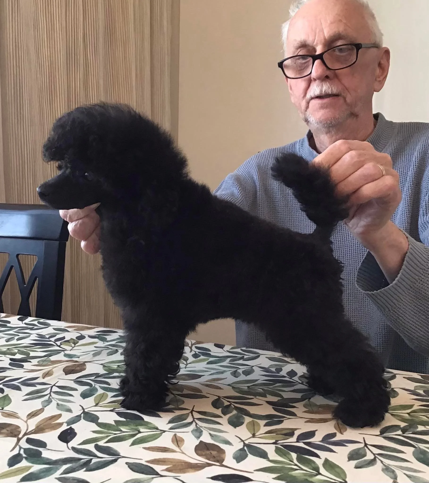 An elderly man with glasses holding up a black puppy on a table with a leaf-patterned tablecloth.