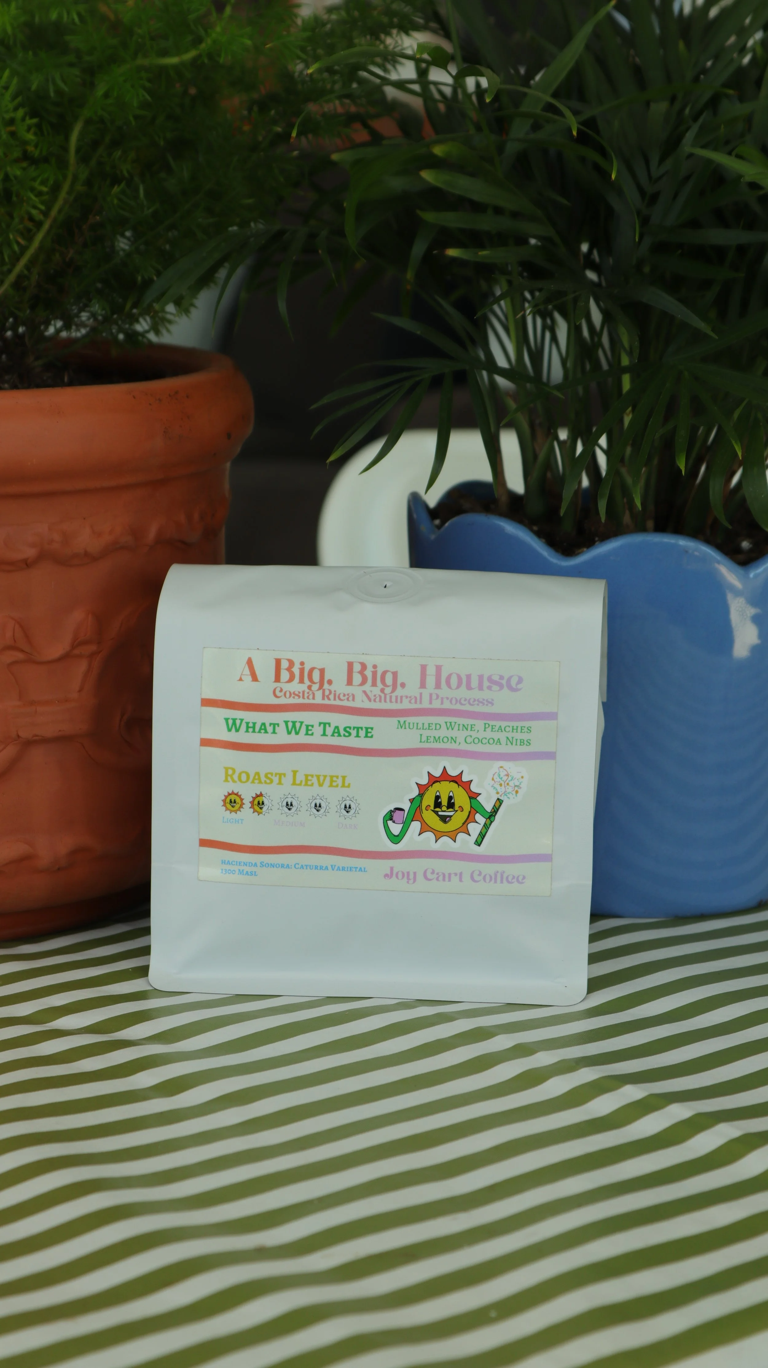 A Big, Big House