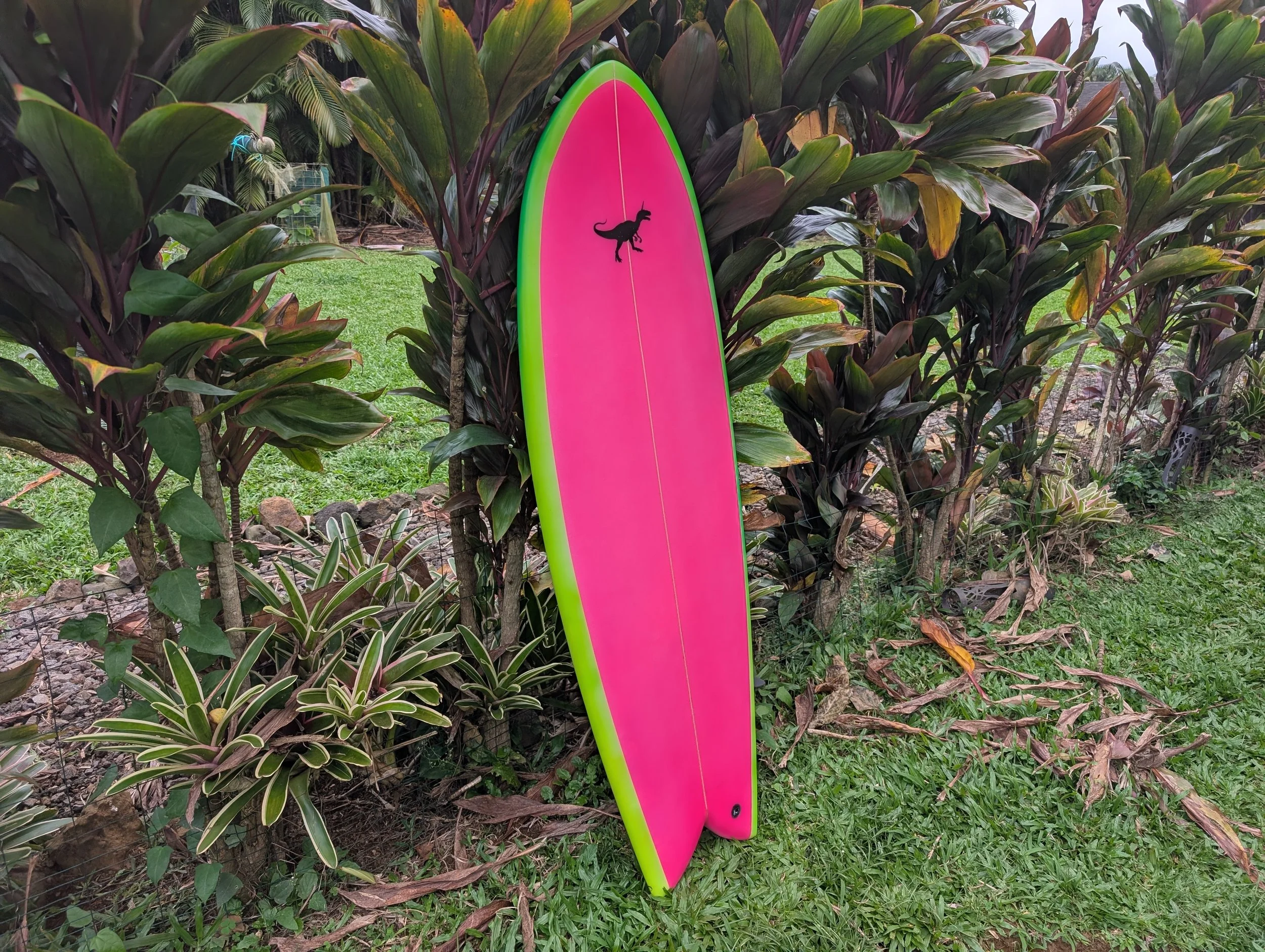 2026-02-16 16.31.39.jpg