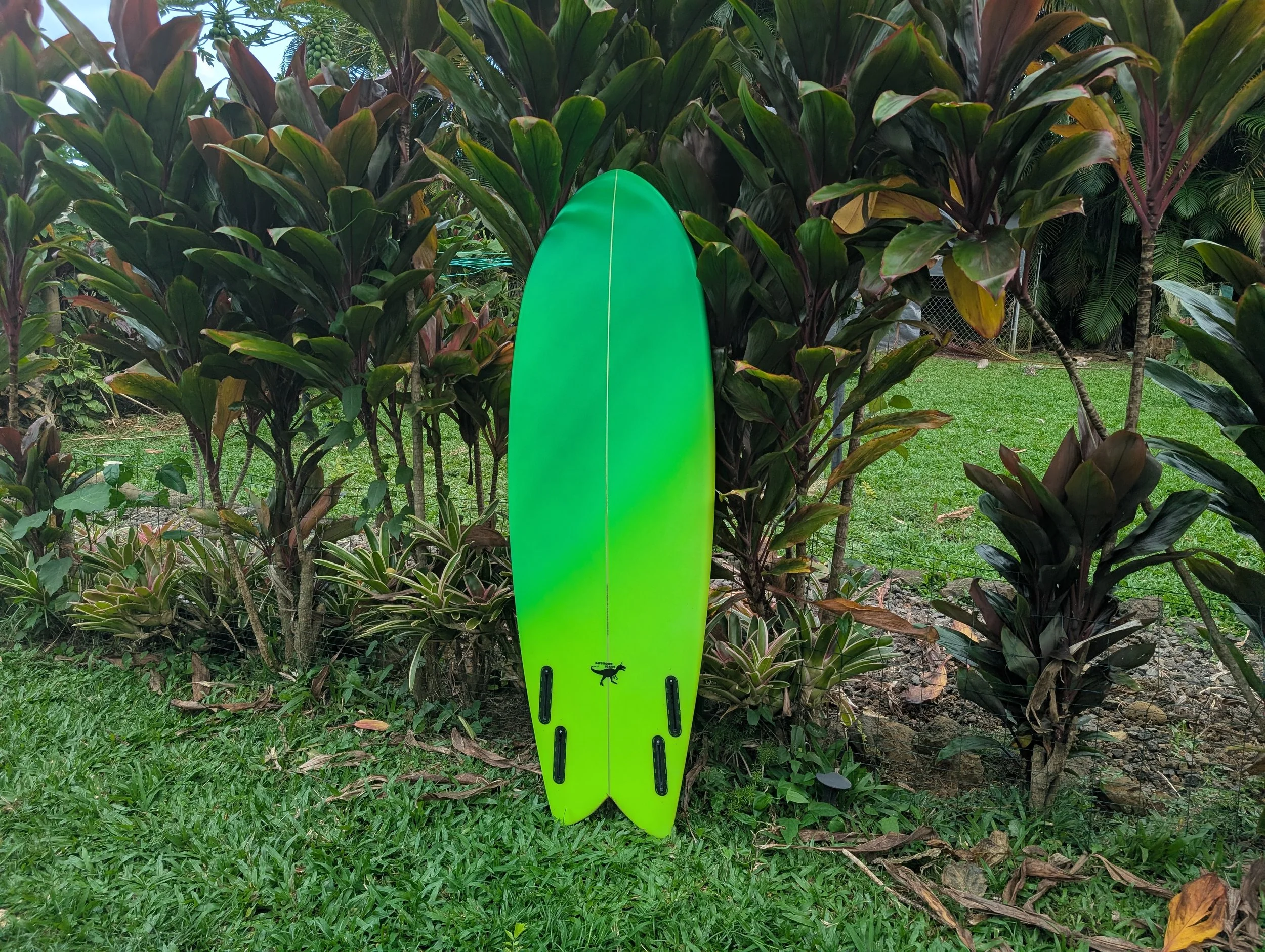 2026-02-16 16.31.57.jpg