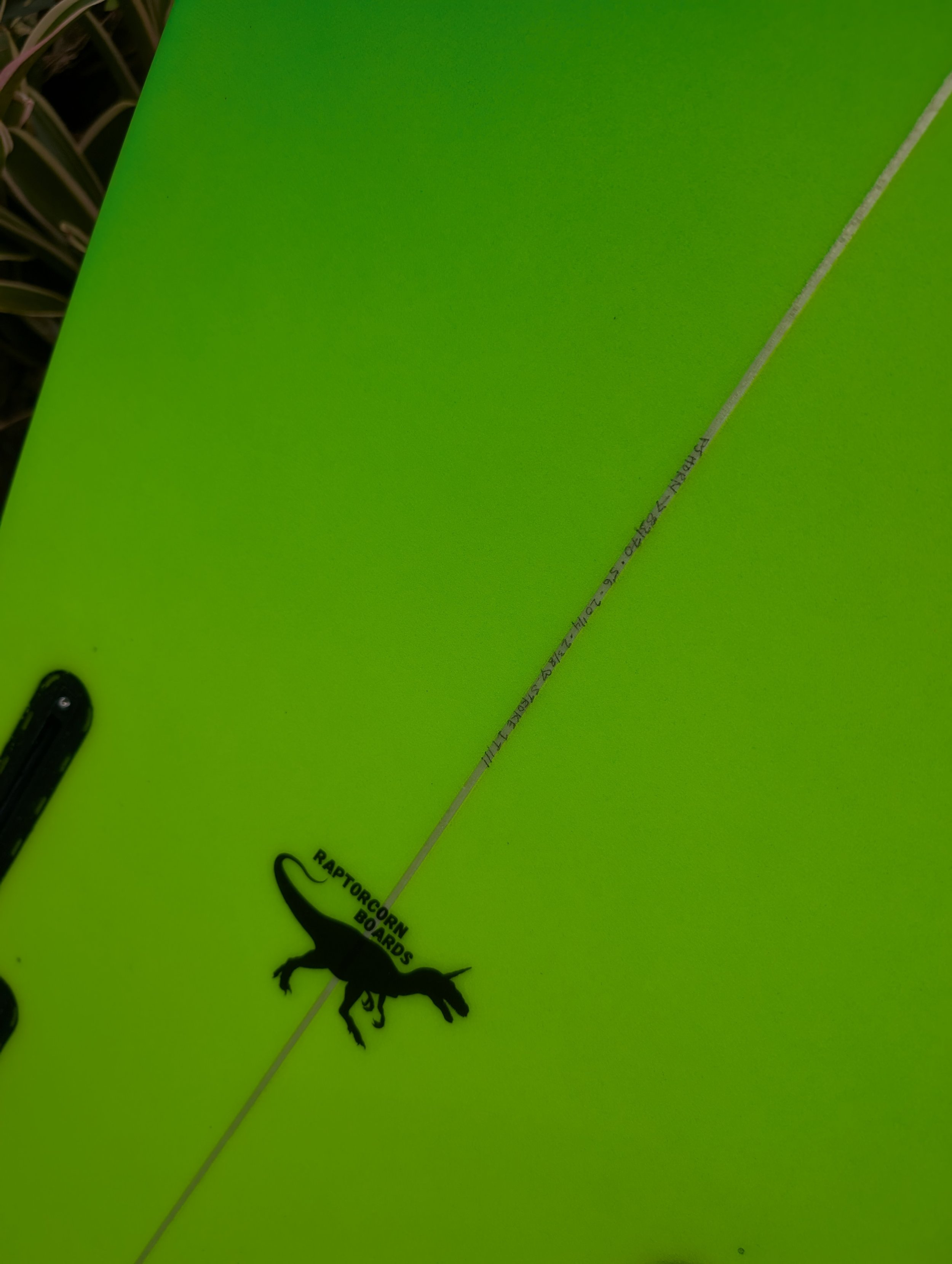 2026-02-16 16.32.02.jpg