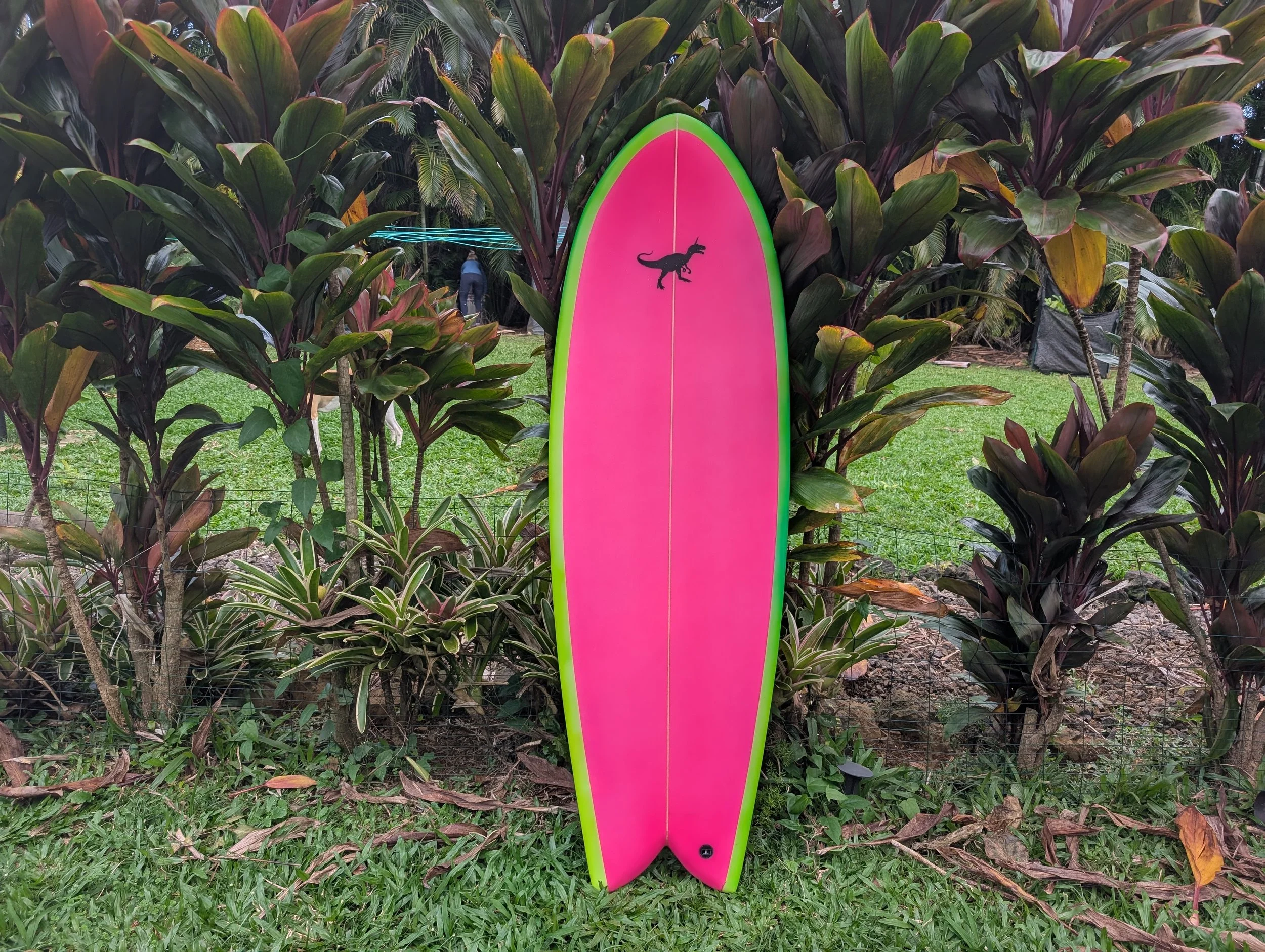 5’6 Raptorcorn Fish