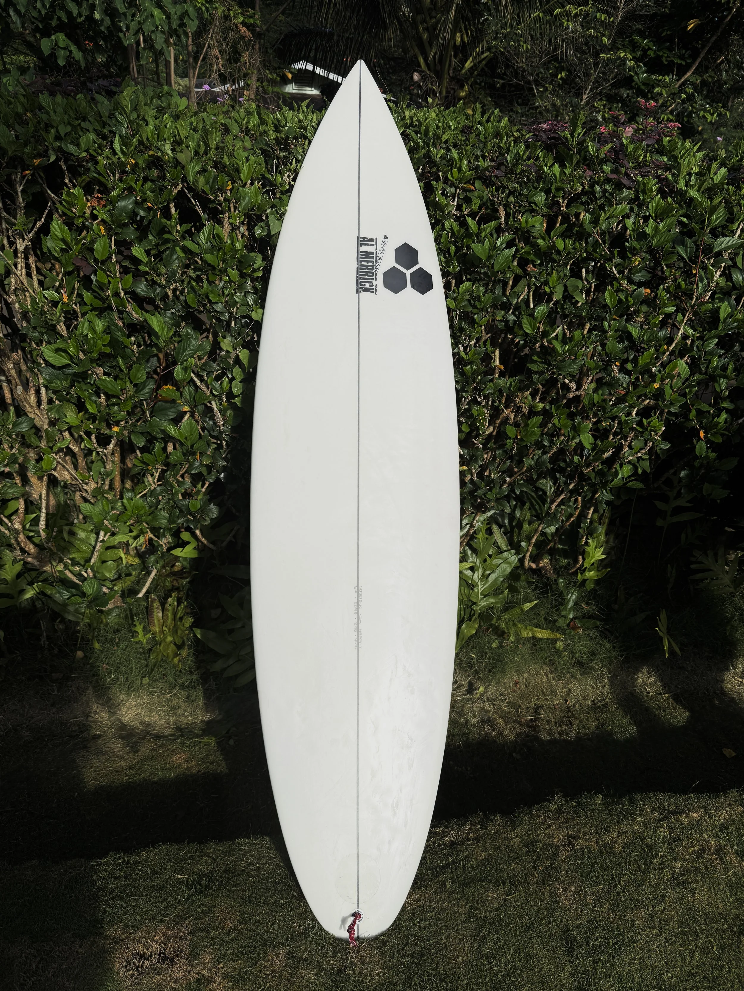 6’10 Happy Traveler Al Merrick