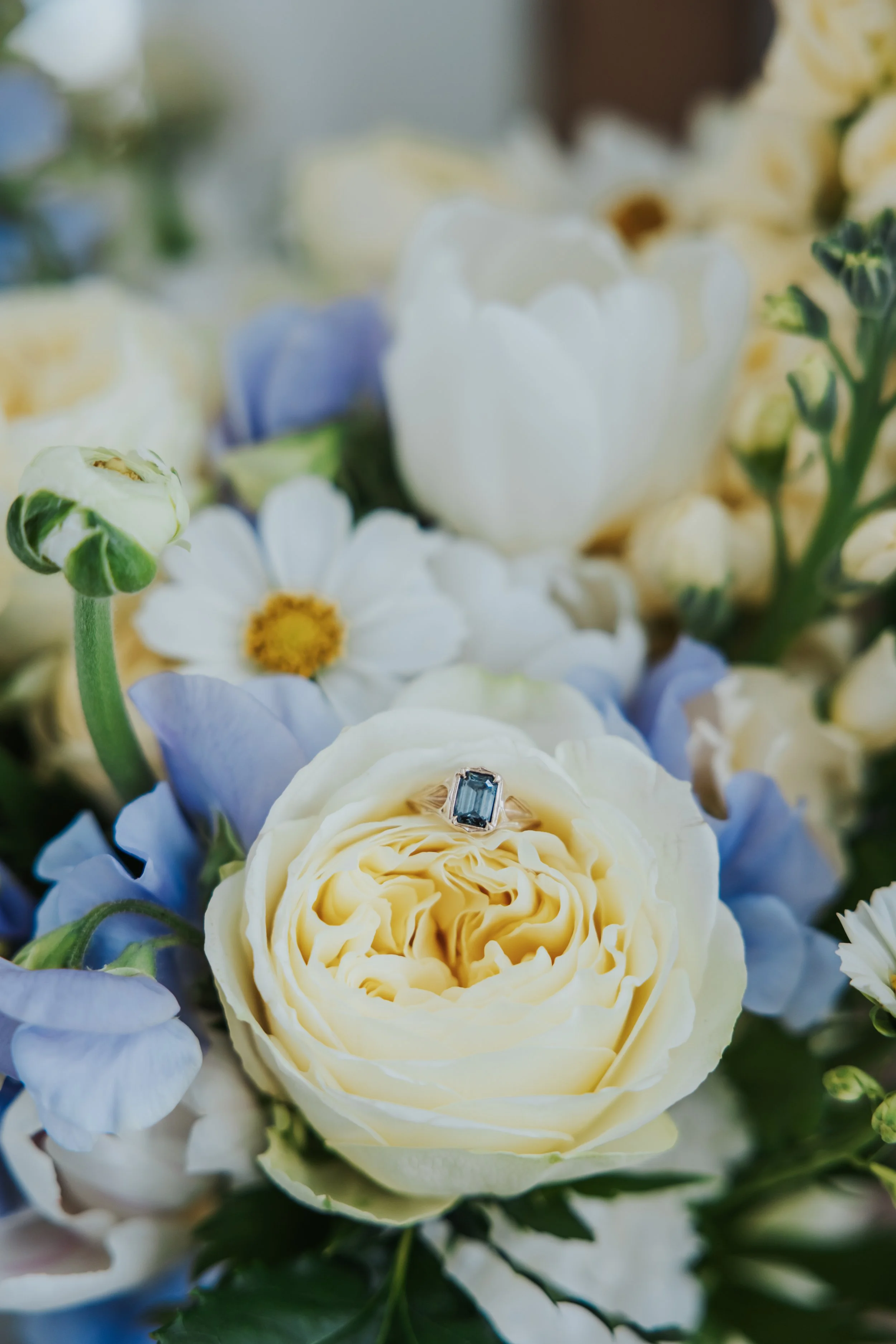 Mr & Mrs Spence_0078.jpg