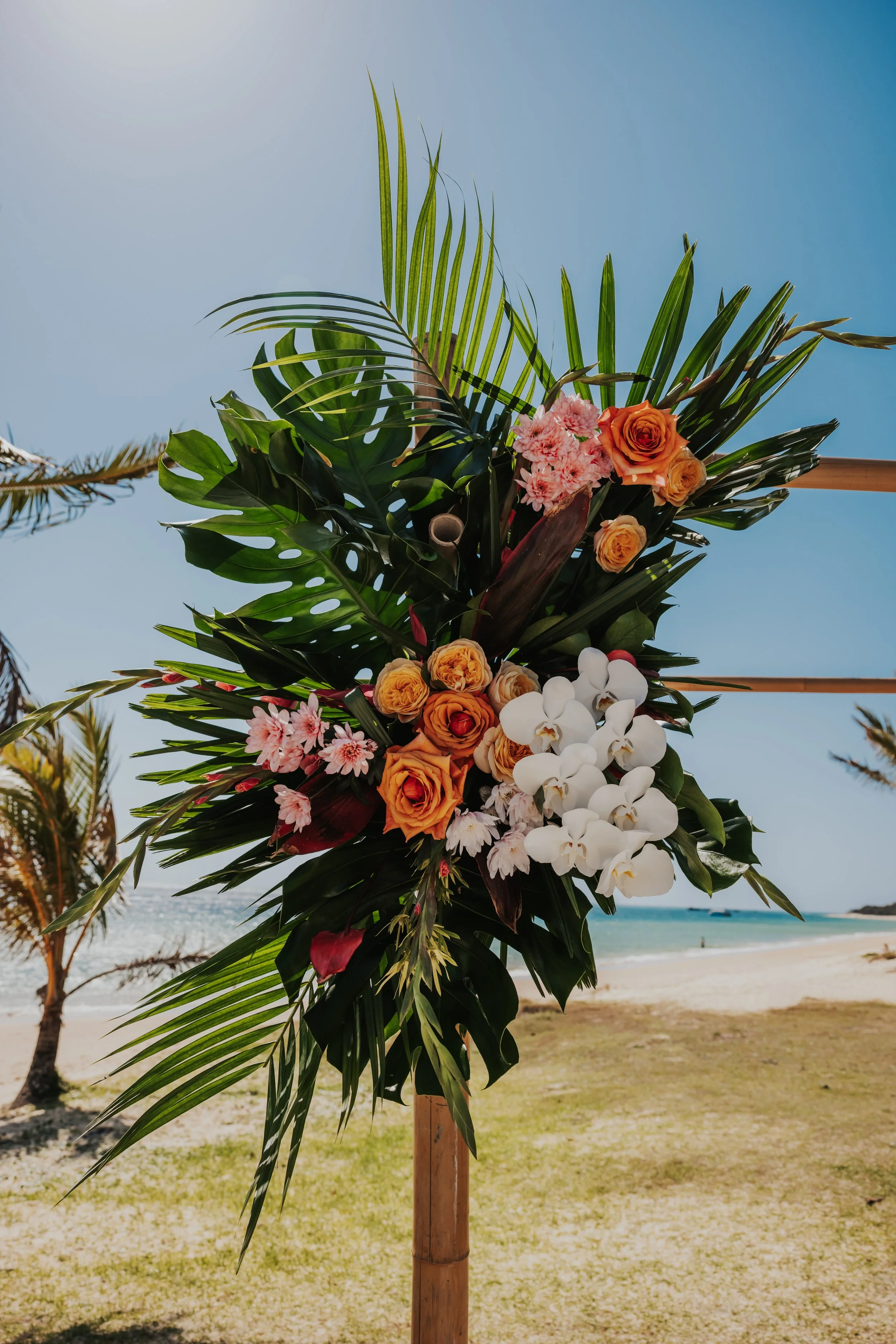 Mr and Mrs Spurdle_0237.jpg