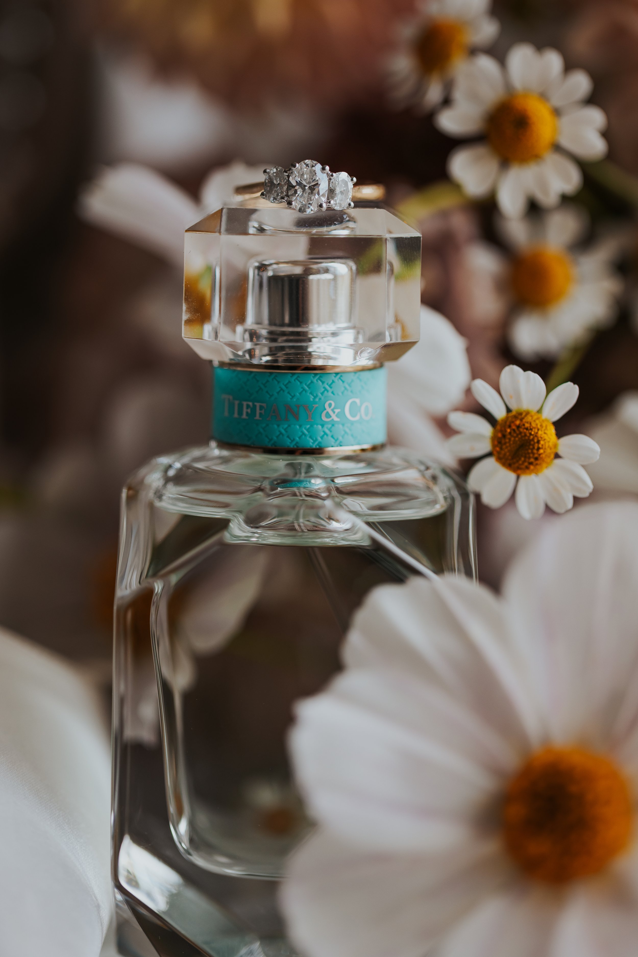 Mr & Mrs Camargo_0027.jpg