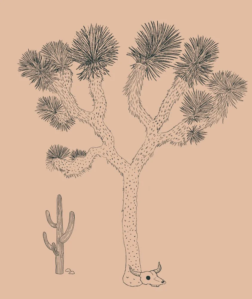 boy childrenswear placement hand drawn desert tree cactus sand
