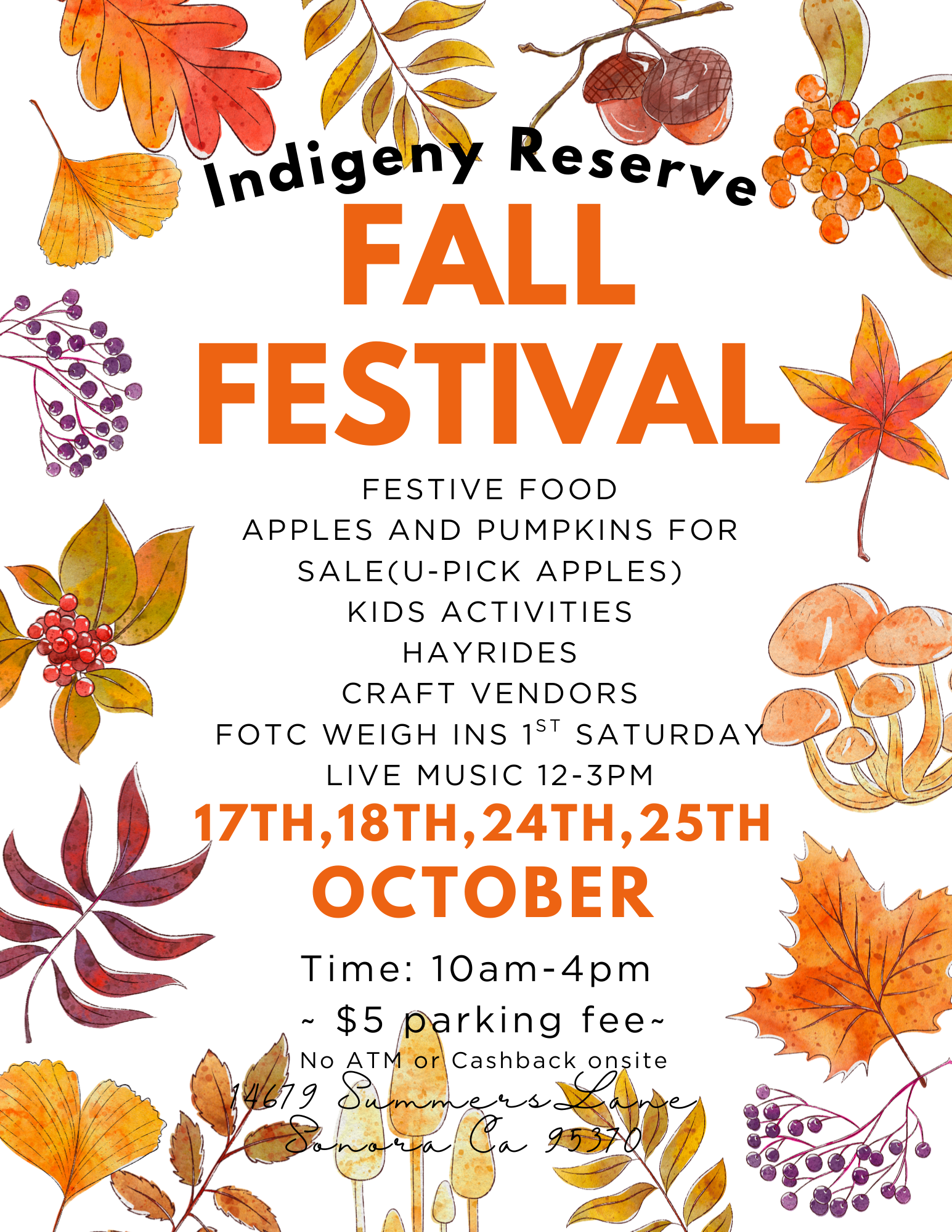 2026 Fall Festival (Day 1) 