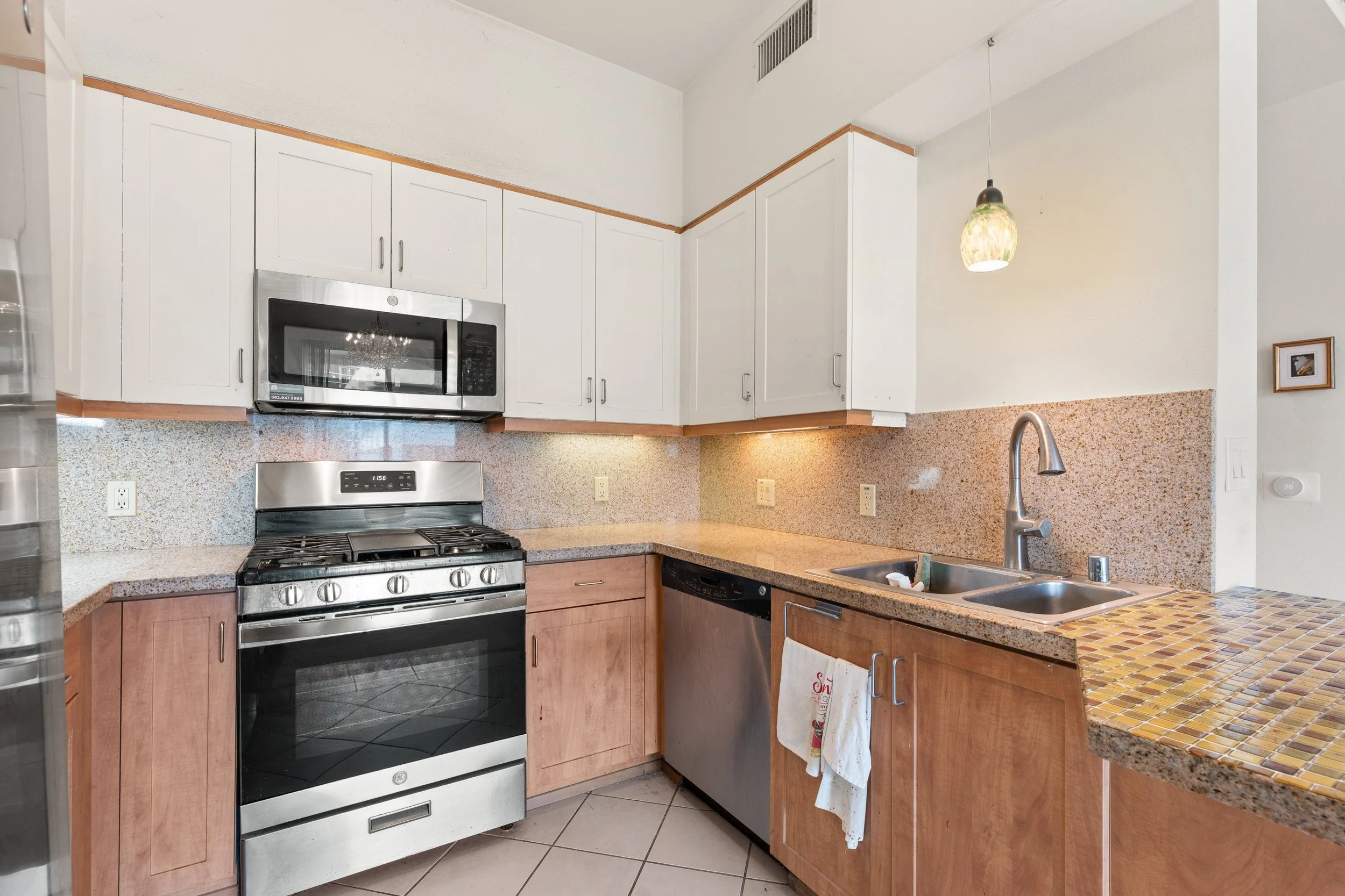P1002402.jpg-SMALL.JPG
