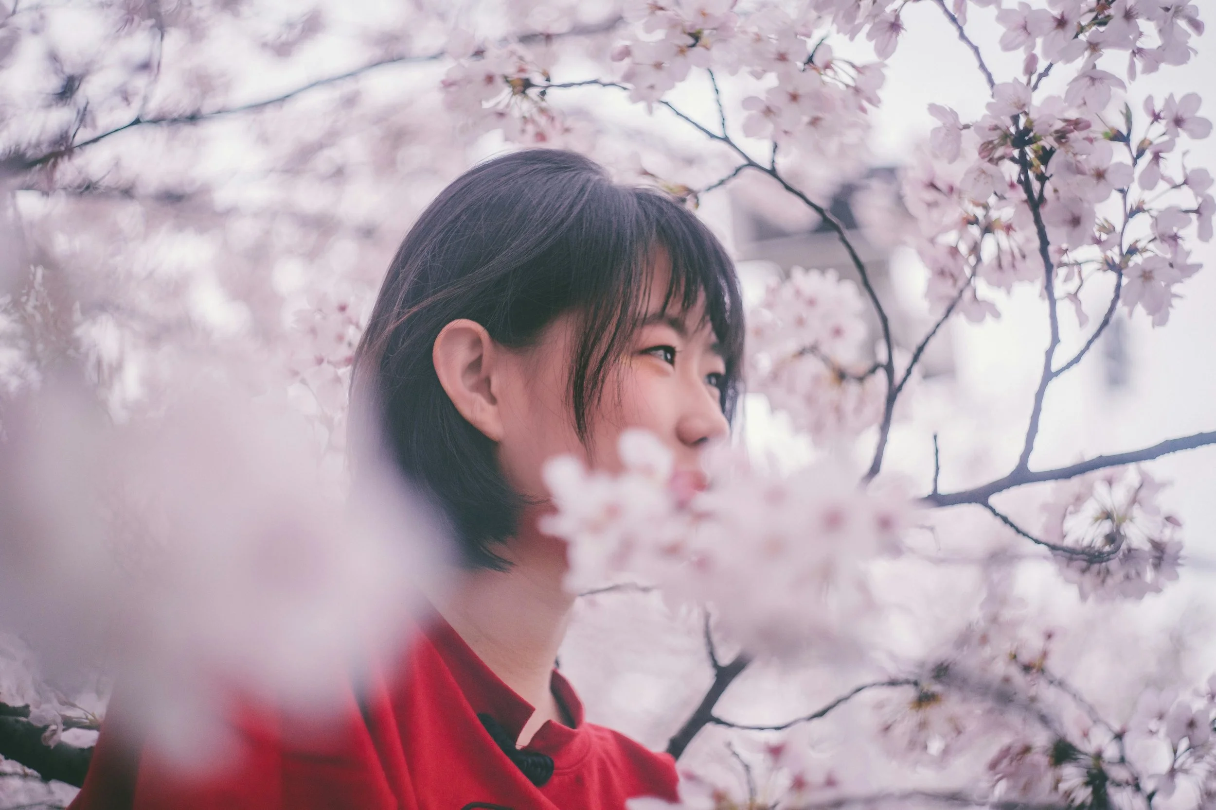 Nurturing Your Inner Peace: A Journey into Mindfulness and Meditation
