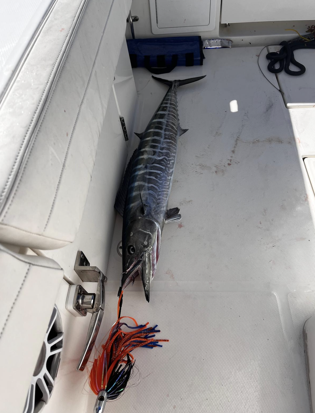 Screenshot 2025-12-30 at 1.06.30 PM.png