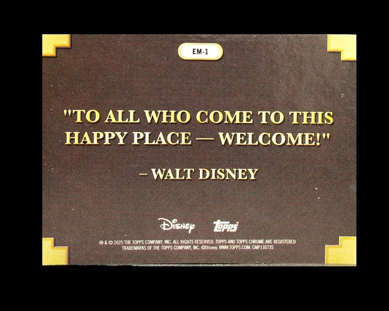 Disney+land+Welcome+2.jpg