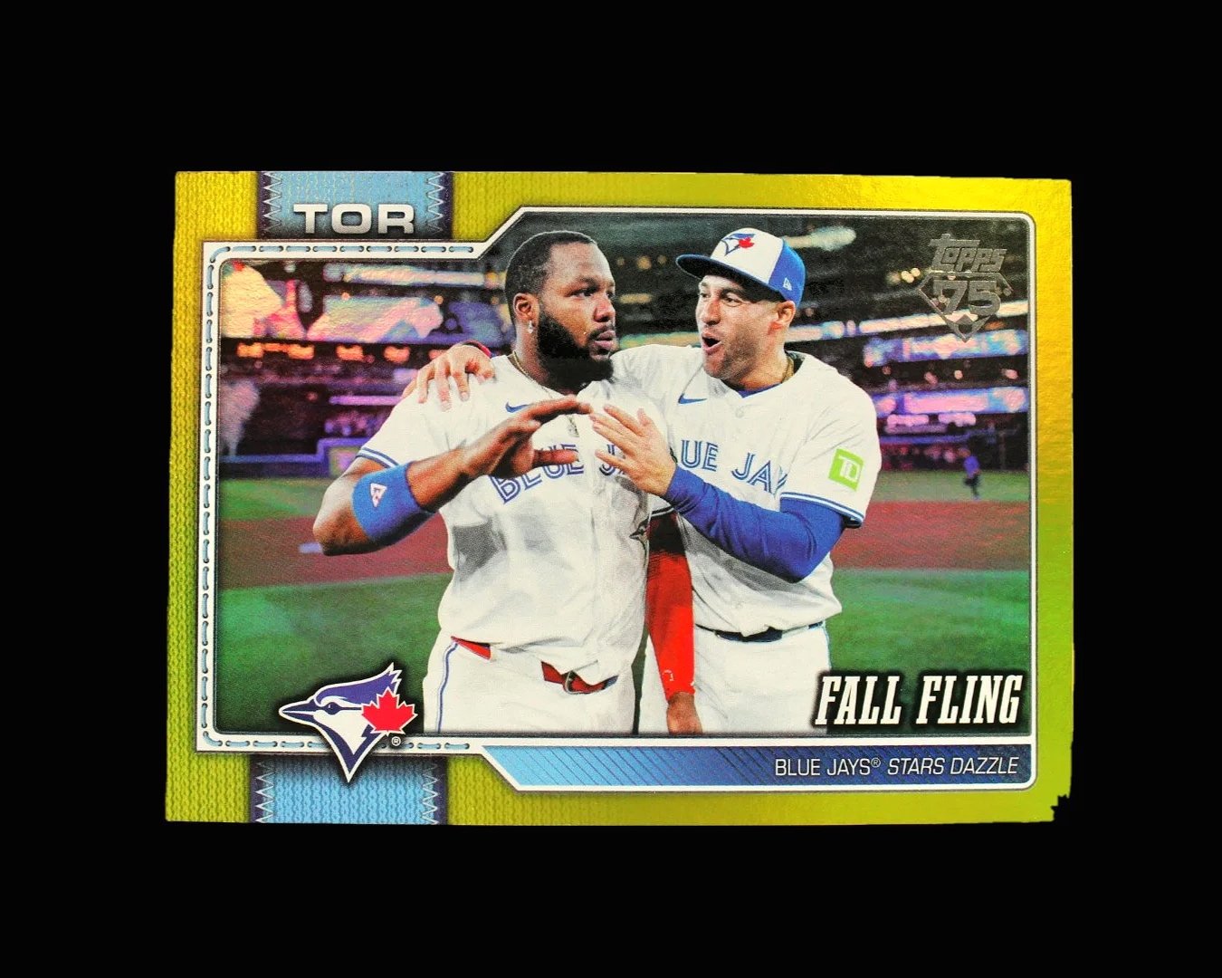 Fall+Fling+.jpg