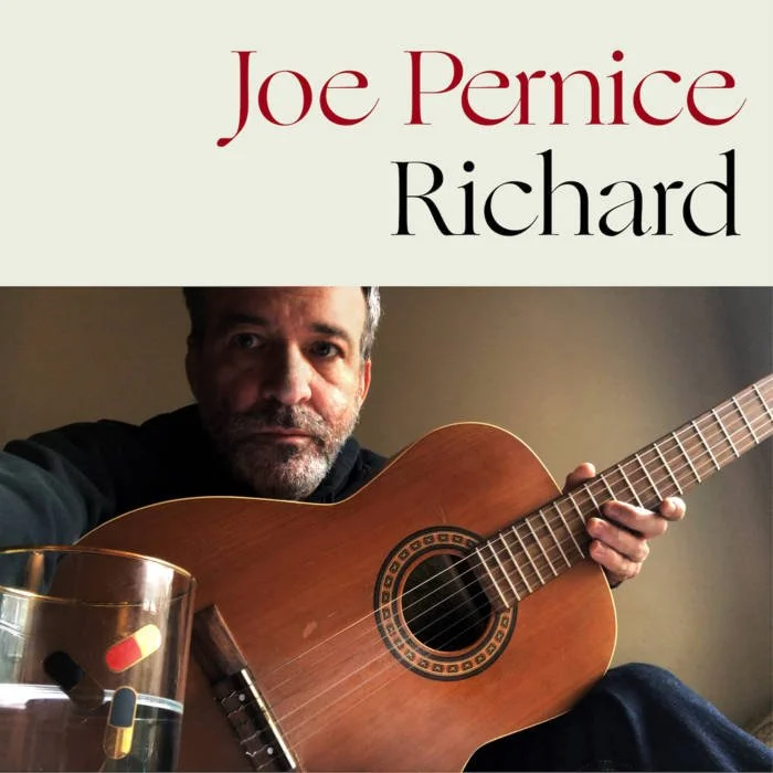 Book cover featuring a man with a beard, sitting indoors with a guitar, a rocks glass in the foreground, and the text 'Joe Pernice' and 'Richard' at the top.