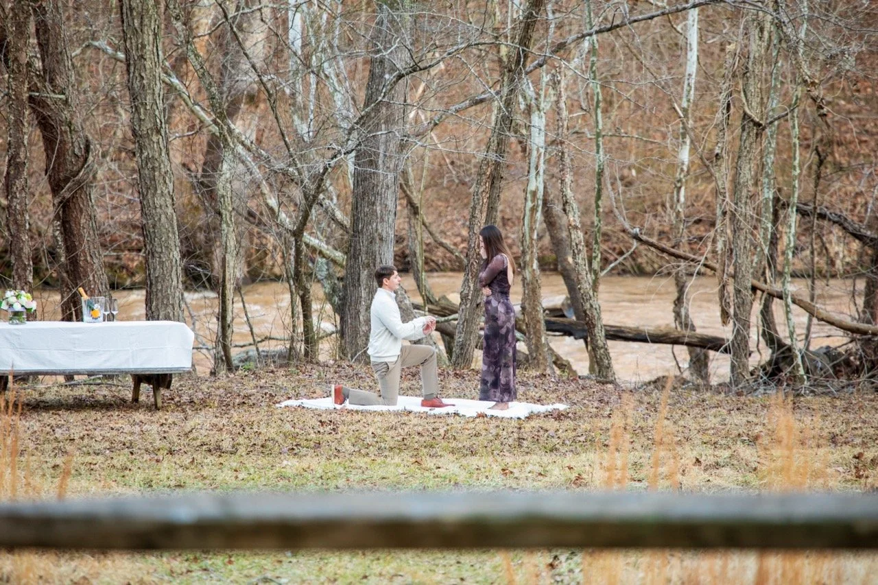 A perfect candid capture of a wedding proposal in nature by a luxury Northern Virginia engagement photographer.