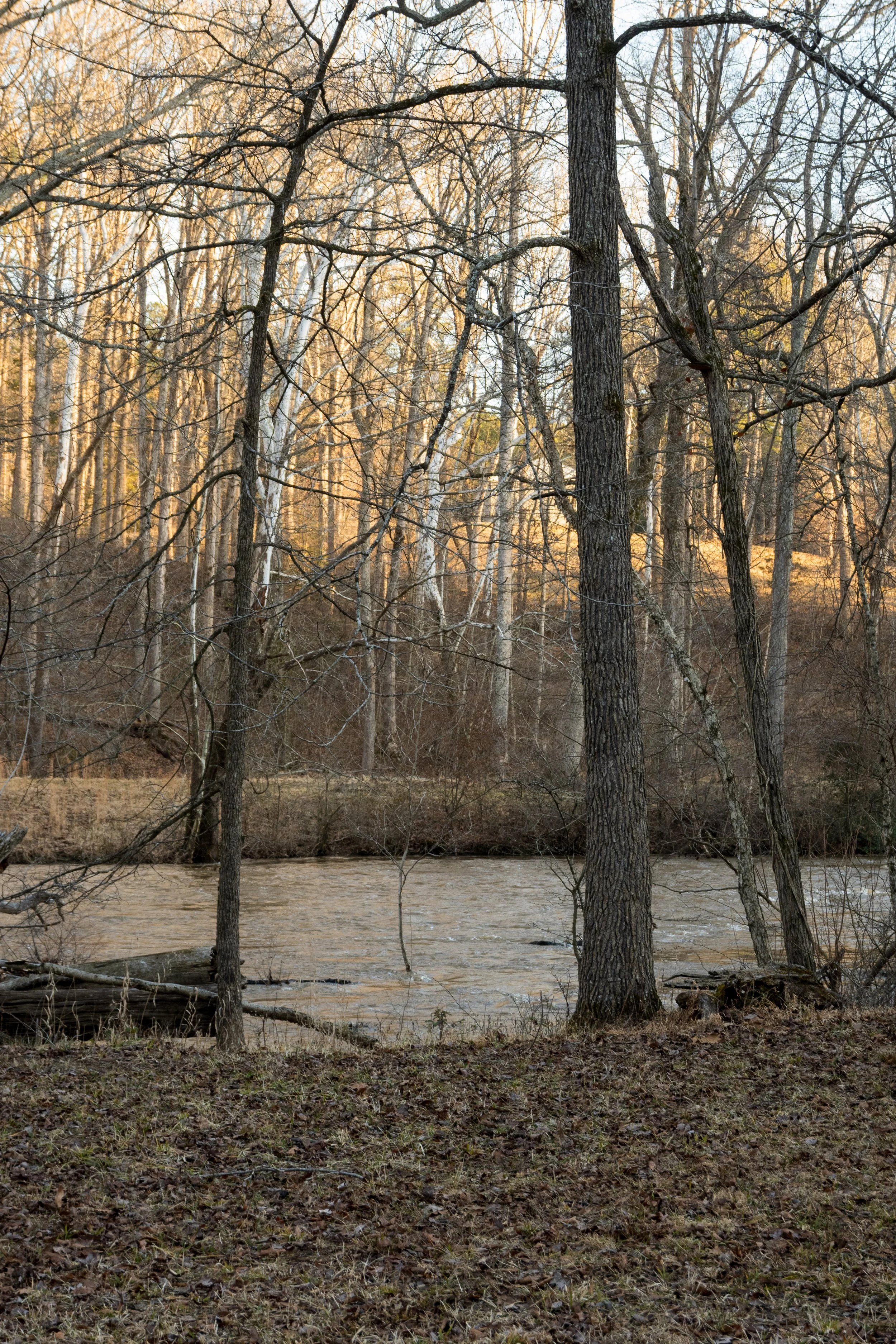 Clay & Caroline4.jpg