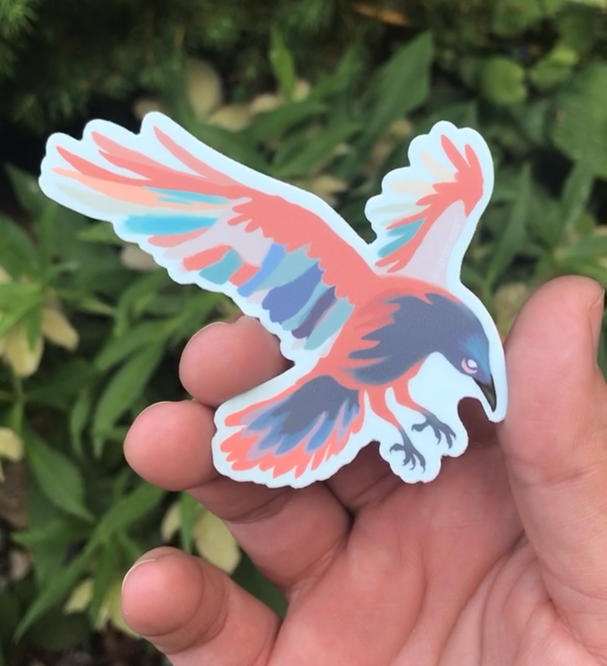 Raven Sticker