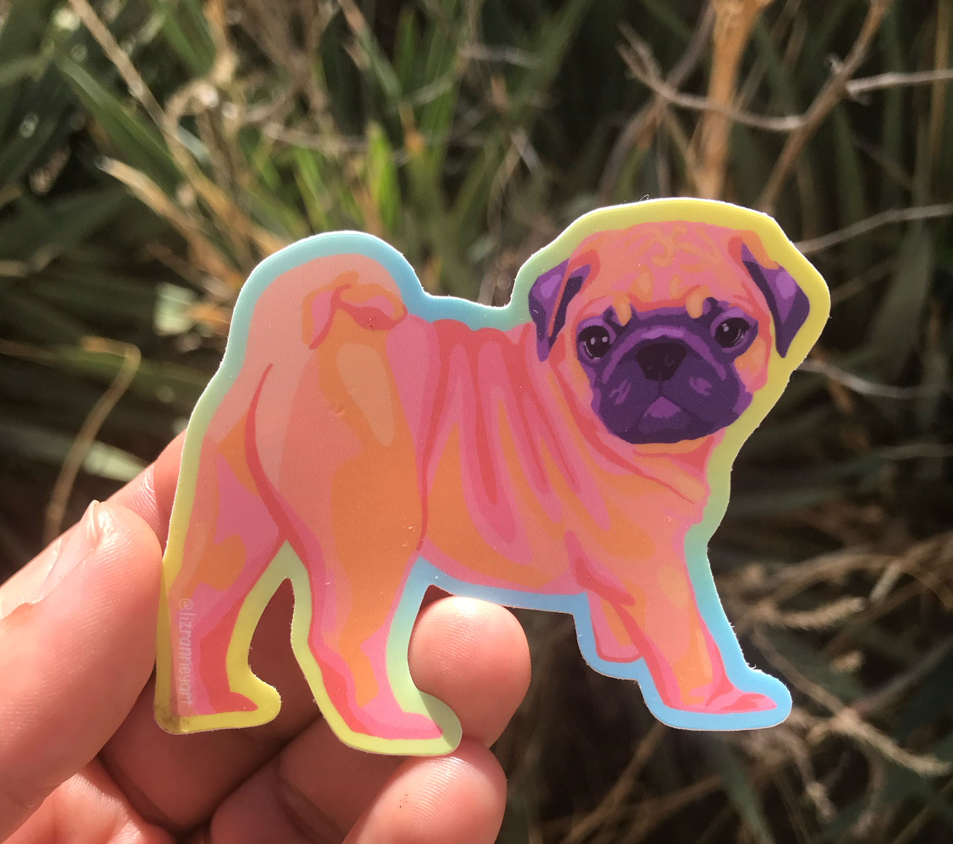 Pug Sticker