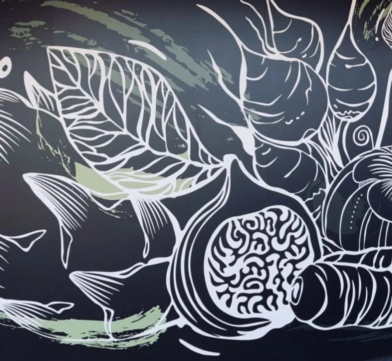 A black background with white line art illustrations of marine life, including a fish, coral, seashells, and a brain coral, creating an underwater scene.
