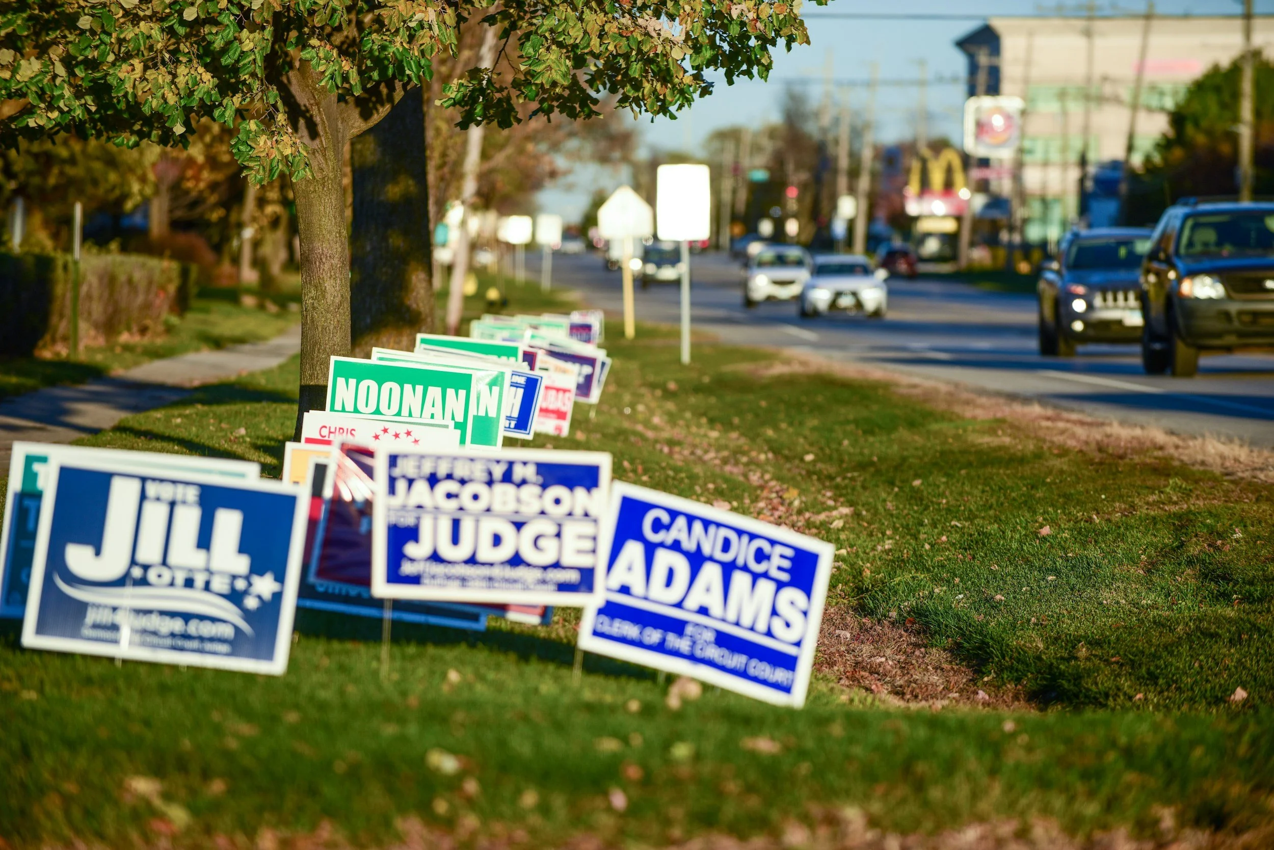 Political campaign signs lined along a grassy sidewalk, with trees and blurred cars on the street in the background.