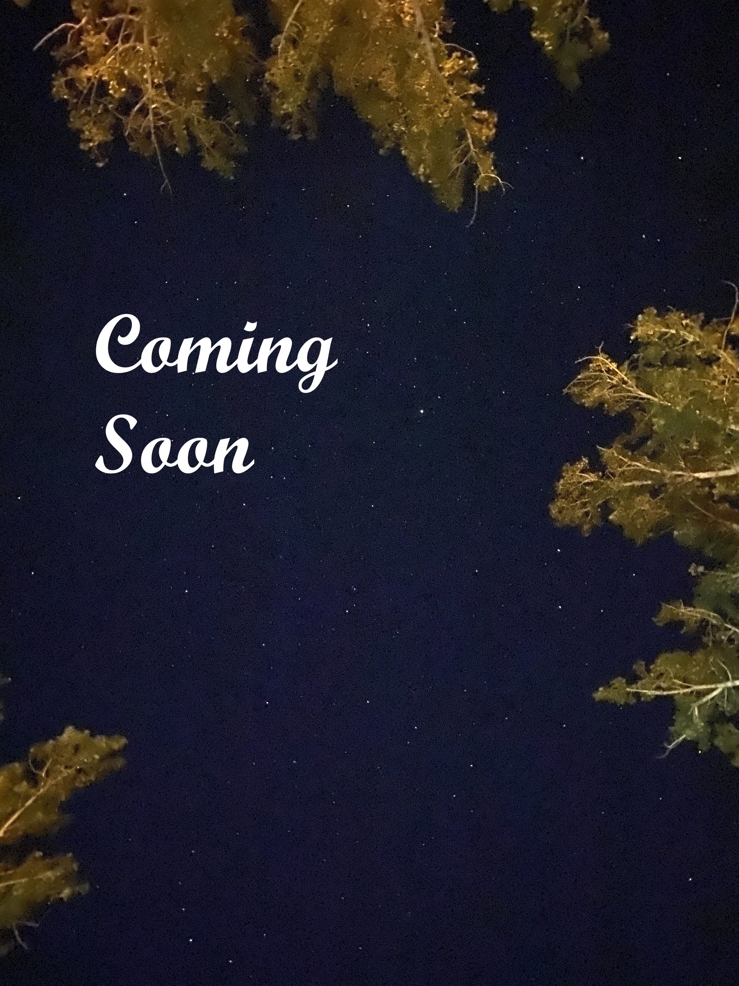 Stars - Coming Soon.jpg