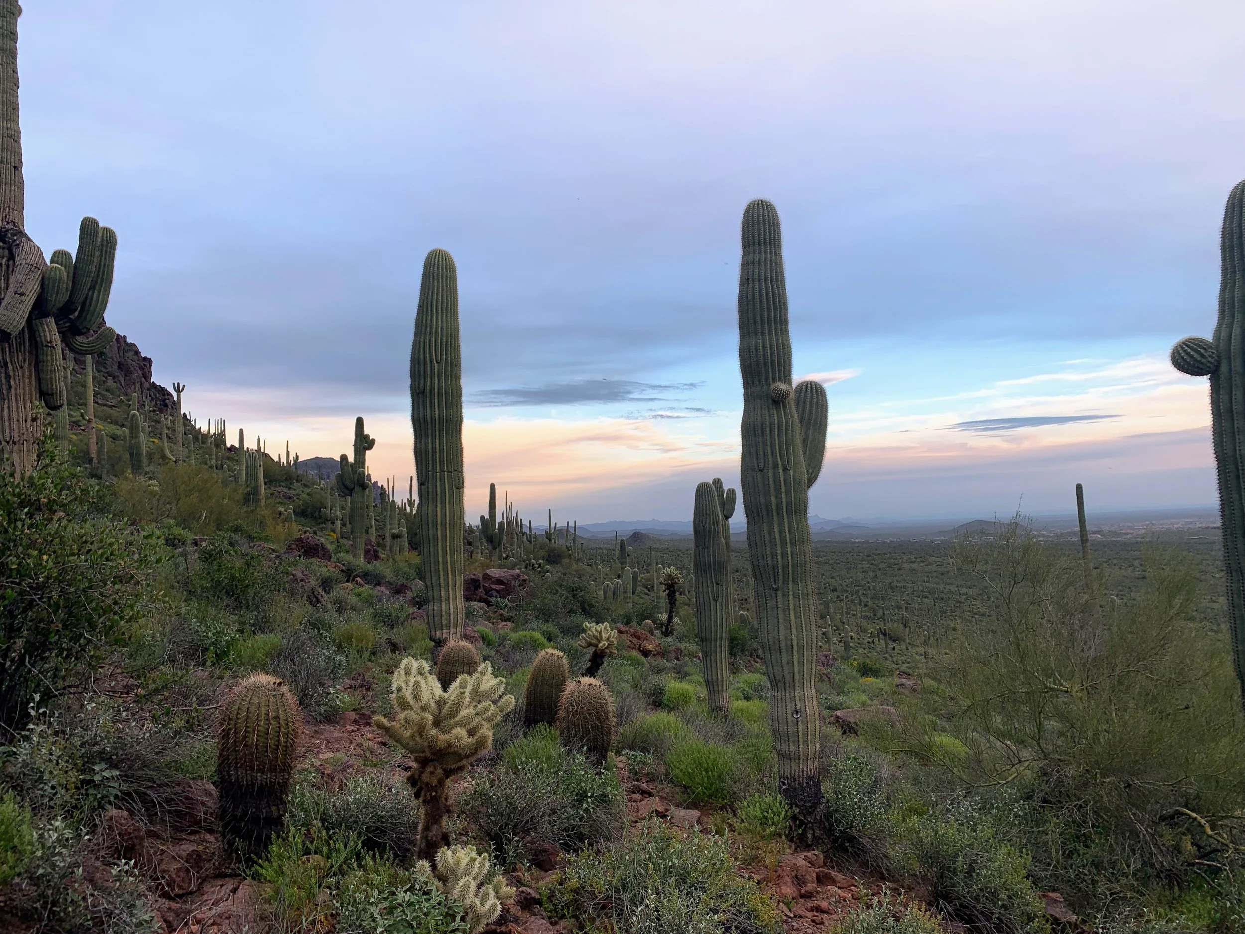 Superstition Mountains